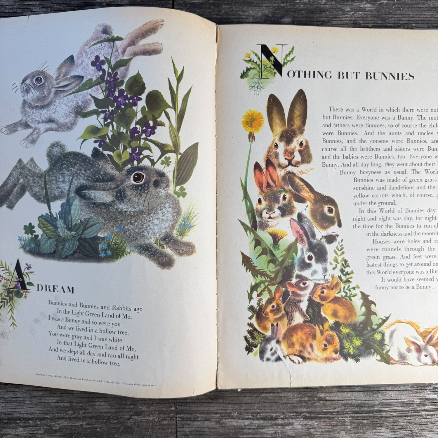 The Golden Bunny by Margaret Wise Brown, illustrated by Leonard Weisgard (1953) - Pretty Old Books