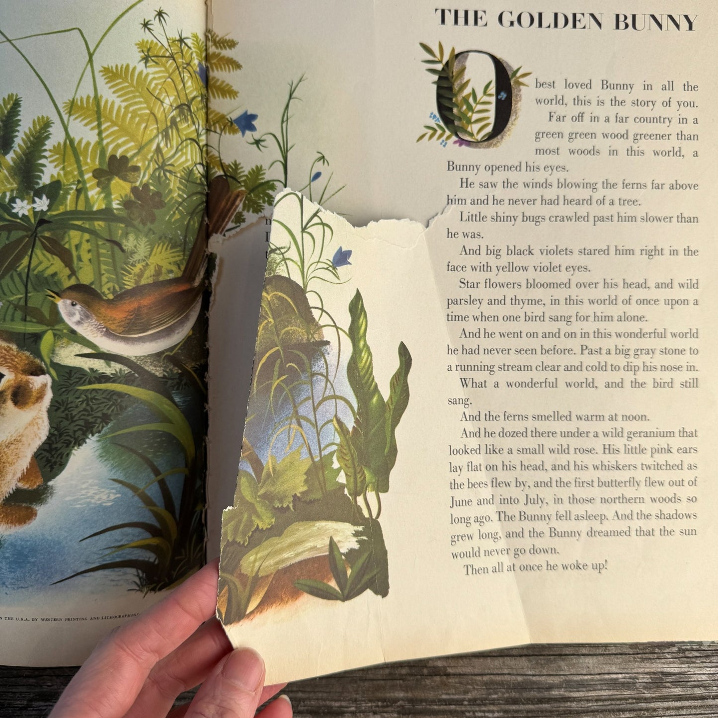 The Golden Bunny by Margaret Wise Brown, illustrated by Leonard Weisgard (1953) - Pretty Old Books