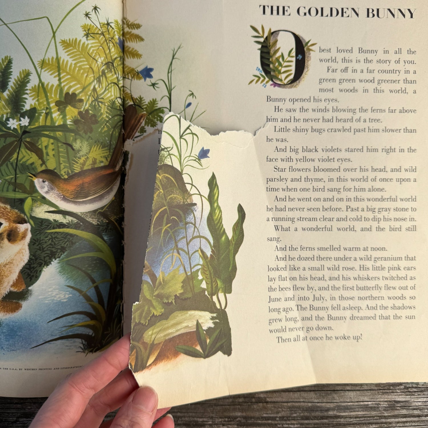 The Golden Bunny by Margaret Wise Brown, illustrated by Leonard Weisgard (1953) - Pretty Old Books