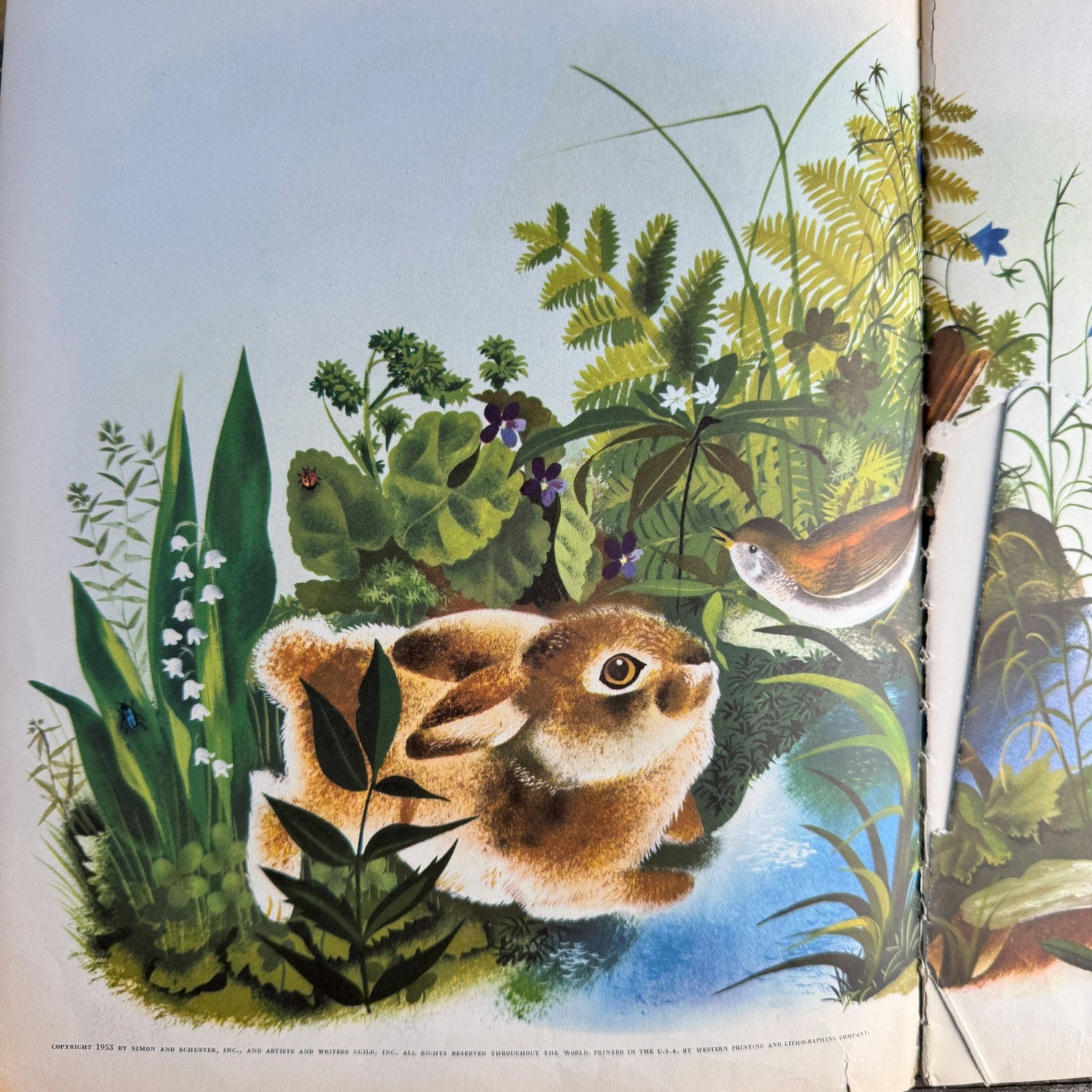 The Golden Bunny by Margaret Wise Brown, illustrated by Leonard Weisgard (1953) - Pretty Old Books