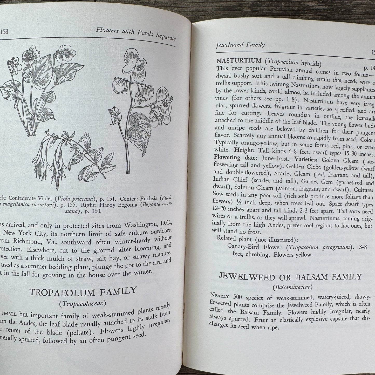 The Guide to Garden Flowers: Their Identity and Culture, Norman Taylor, 1958 - Pretty Old Books