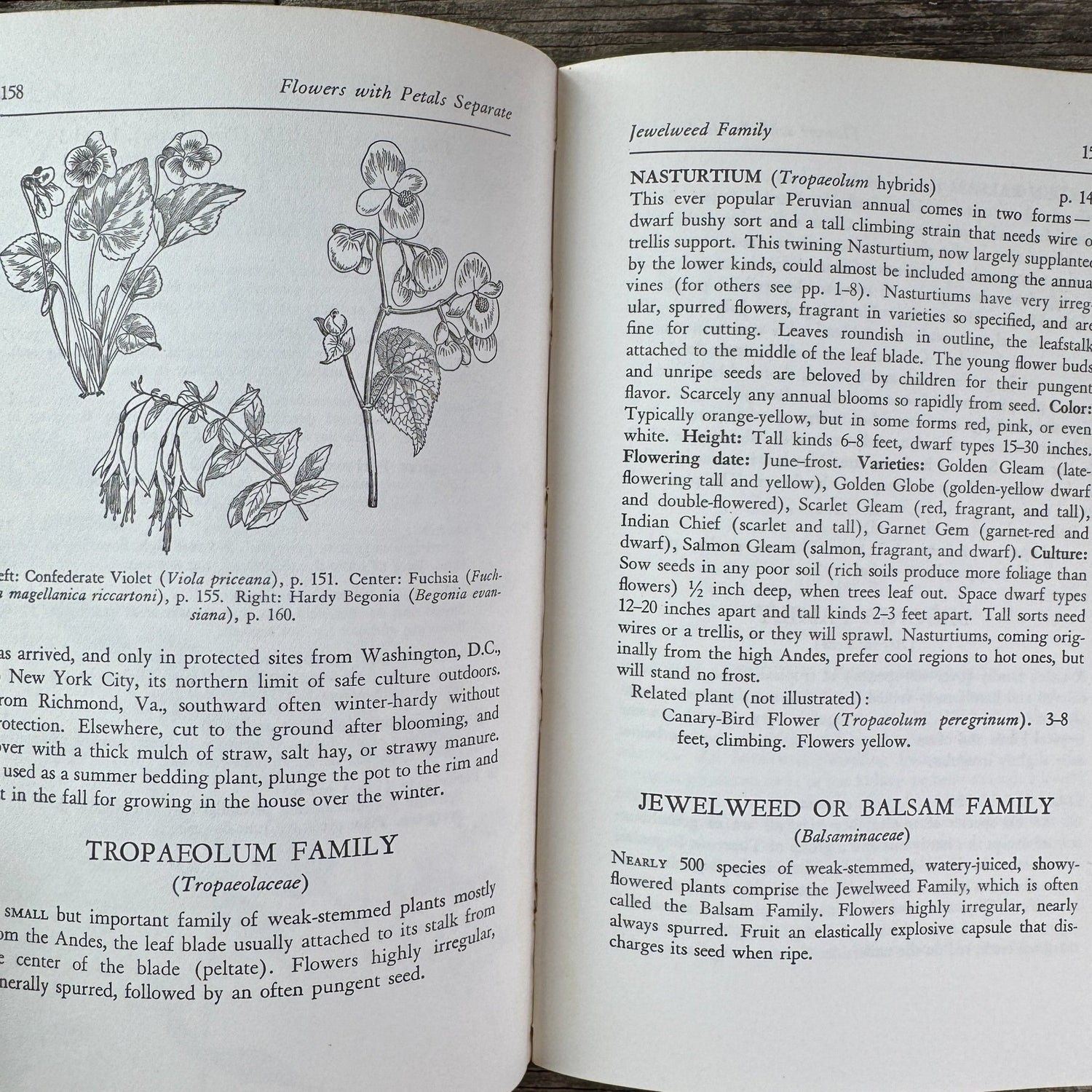 The Guide to Garden Flowers: Their Identity and Culture, Norman Taylor, 1958 - Pretty Old Books
