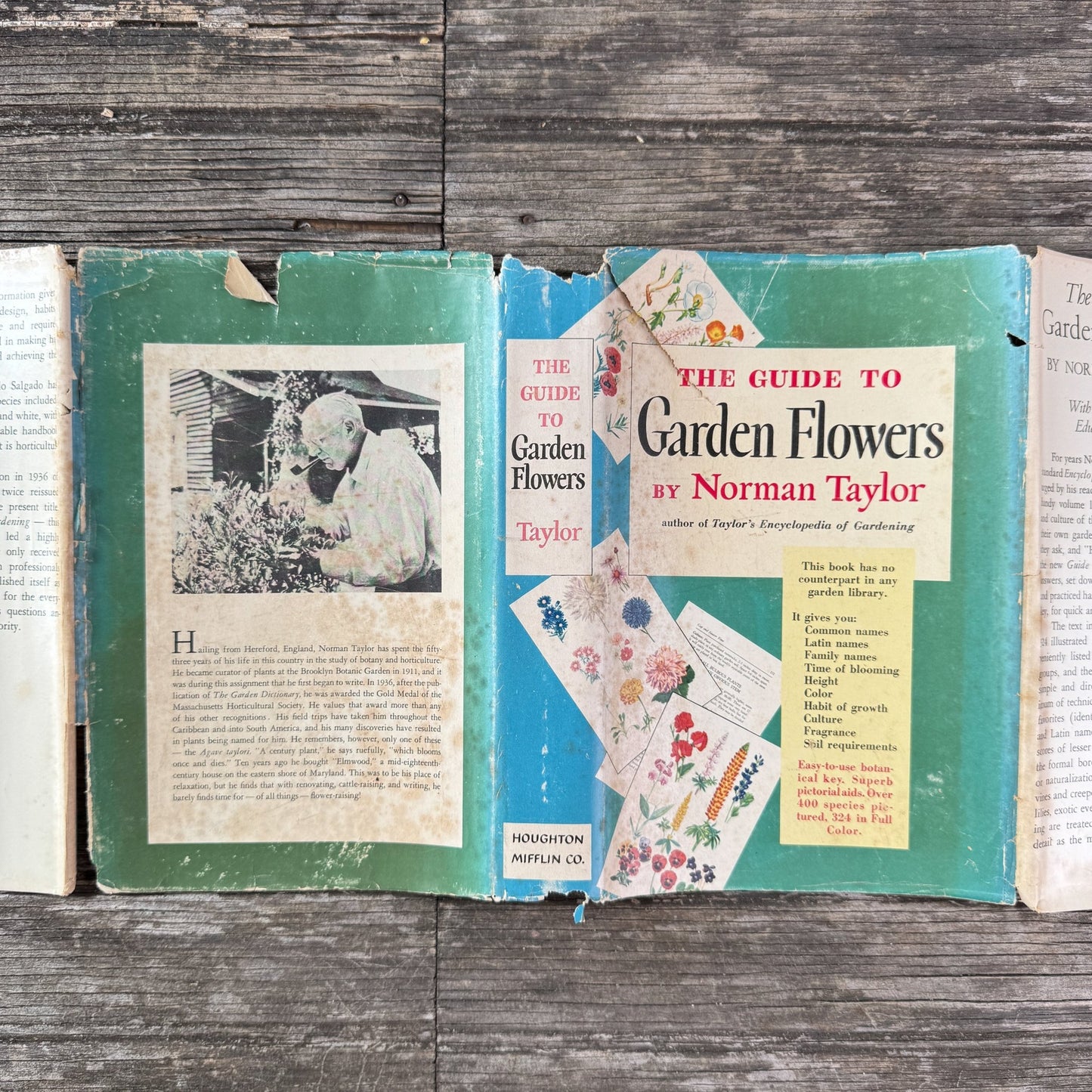 The Guide to Garden Flowers: Their Identity and Culture, Norman Taylor, 1958 - Pretty Old Books