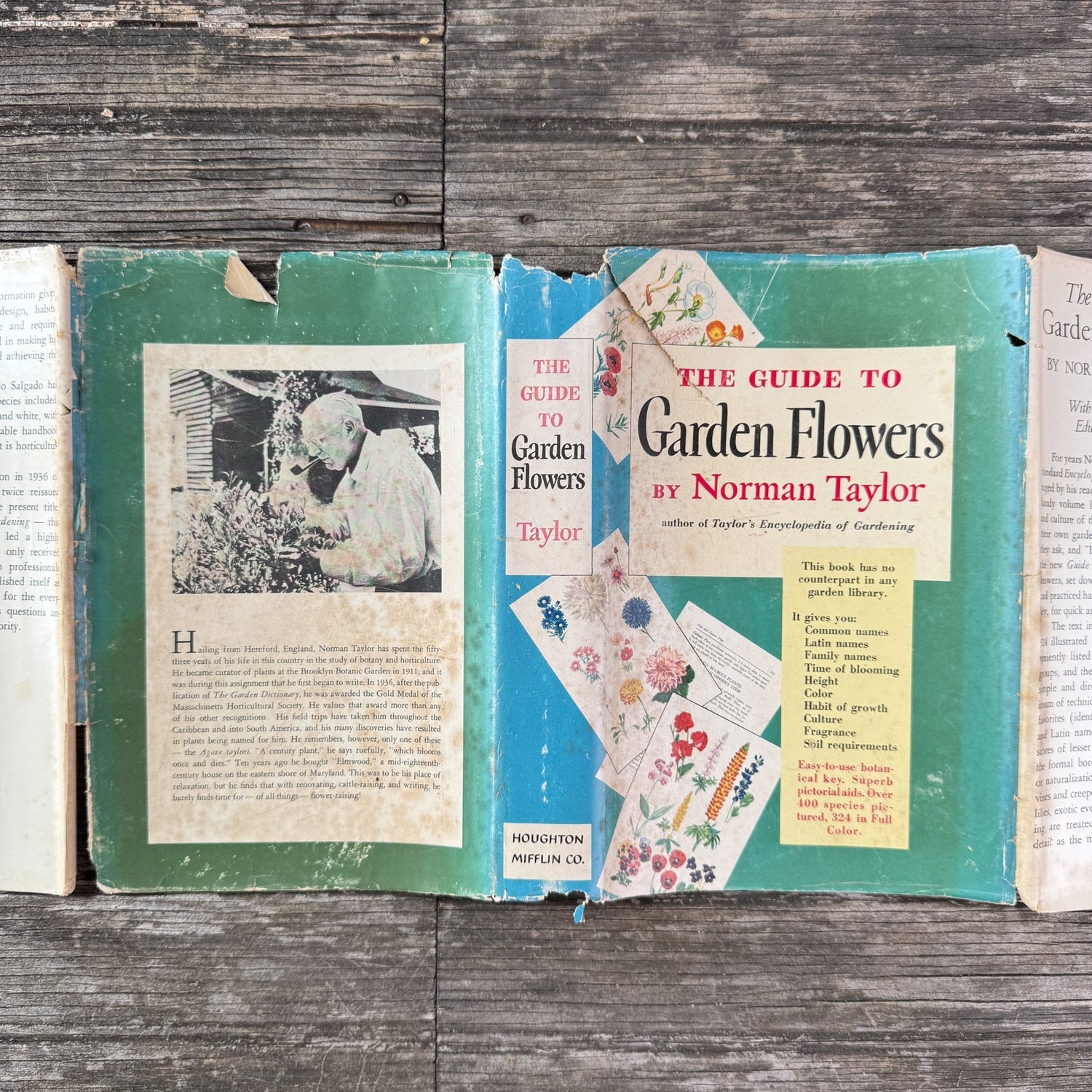 The Guide to Garden Flowers: Their Identity and Culture, Norman Taylor, 1958 - Pretty Old Books