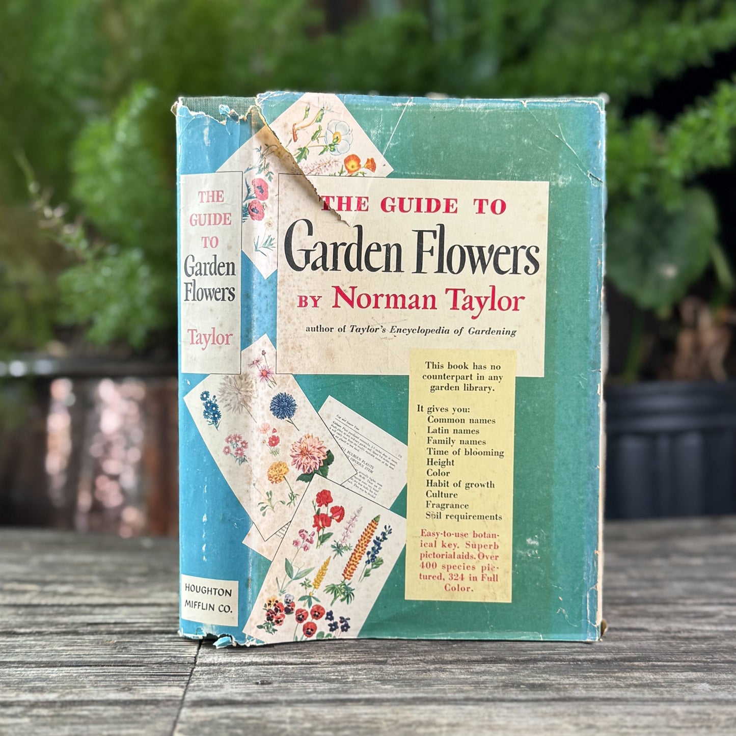The Guide to Garden Flowers: Their Identity and Culture, Norman Taylor, 1958 - Pretty Old Books