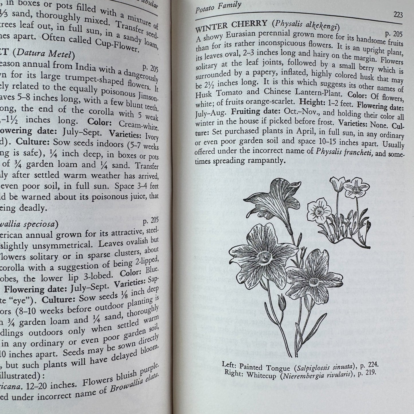 The Guide to Garden Flowers: Their Identity and Culture, Norman Taylor, 1958 - Pretty Old Books