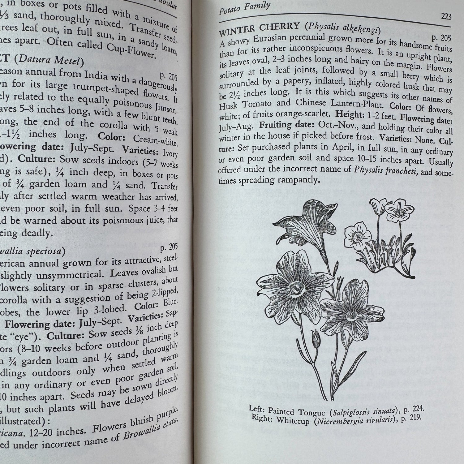 The Guide to Garden Flowers: Their Identity and Culture, Norman Taylor, 1958 - Pretty Old Books