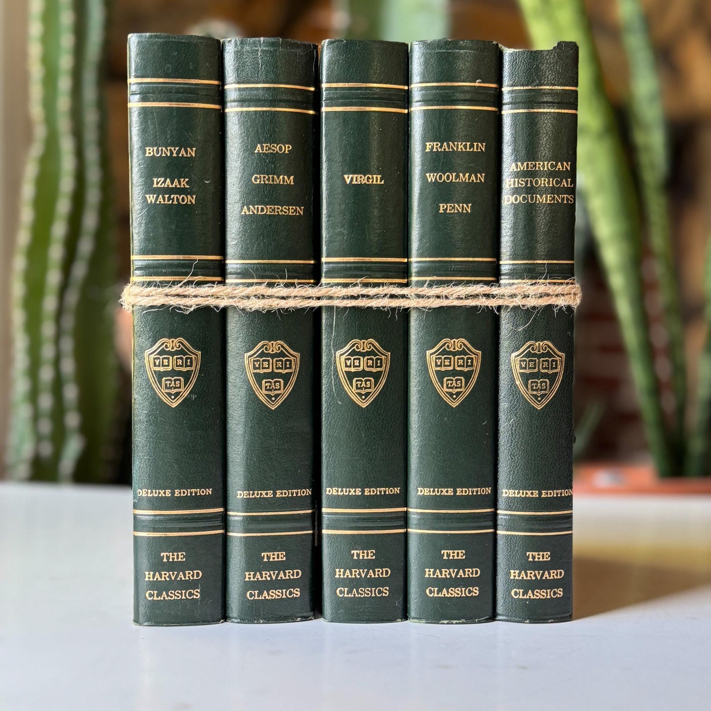The Harvard Classics, Bookshelf Decor, Green Vintage Decorative Books For Home Decor - Pretty Old Books