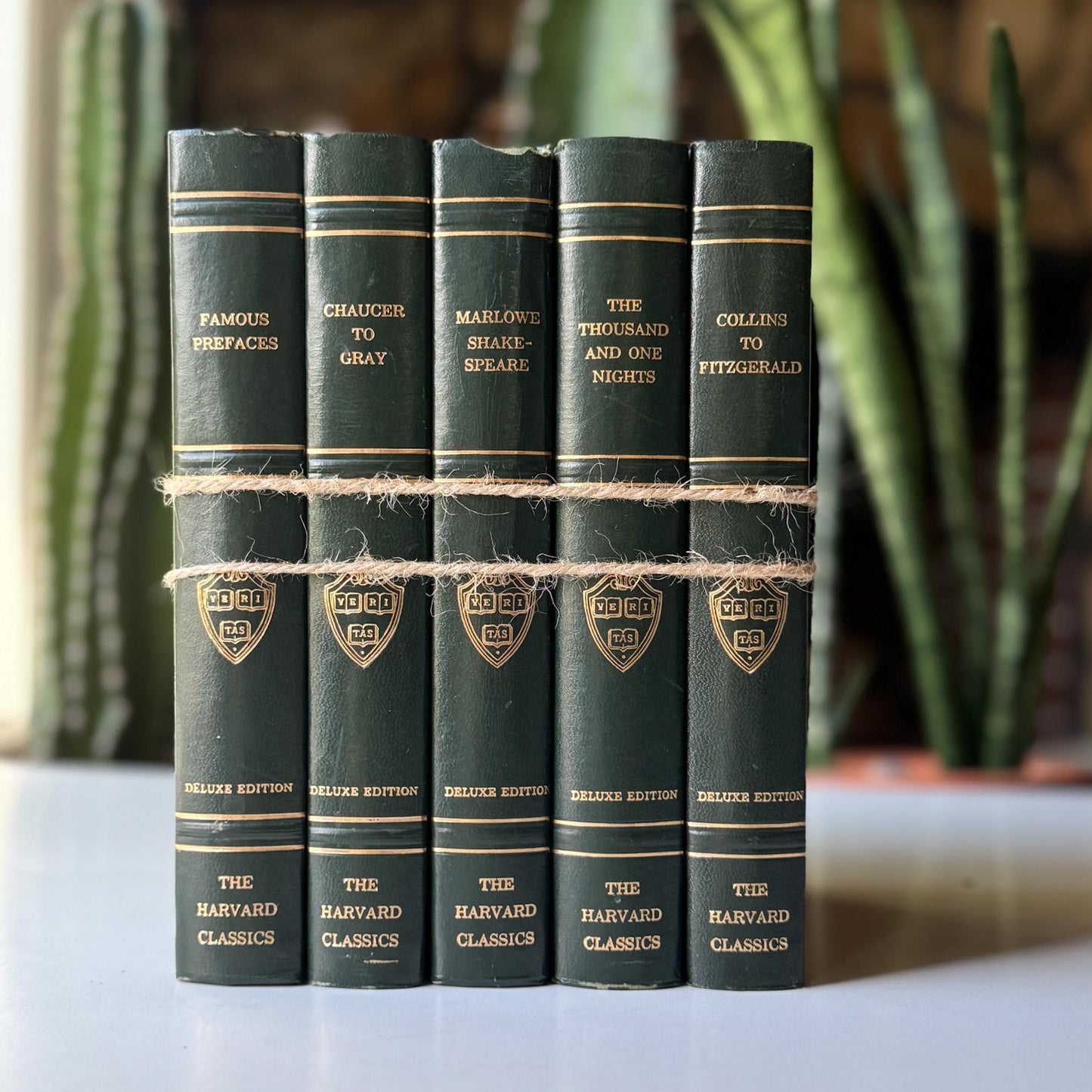 The Harvard Classics, Bookshelf Decor, Green Vintage Decorative Books For Home Decor - Pretty Old Books