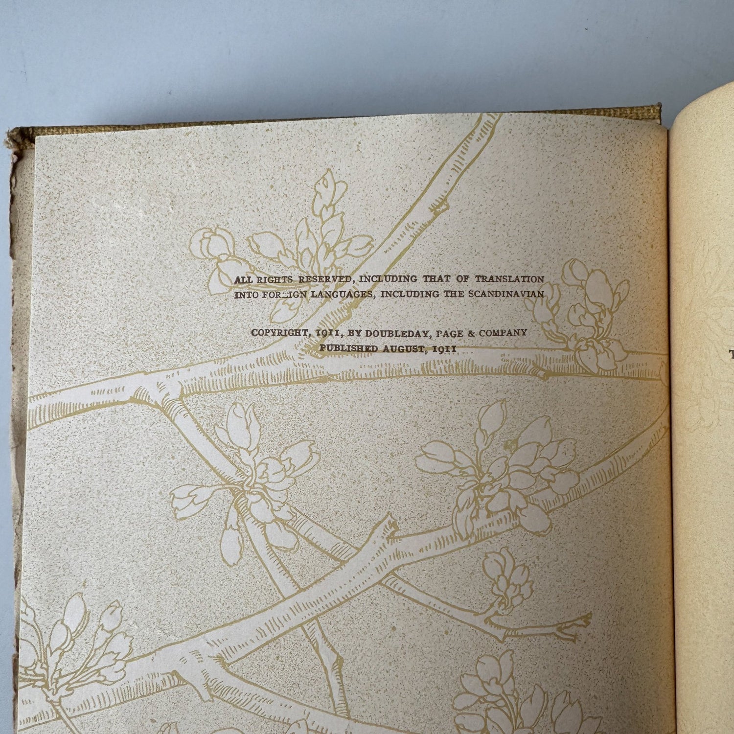 The Harvester by Gene Stratton - Porter, Illustrated, 1911 - Pretty Old Books