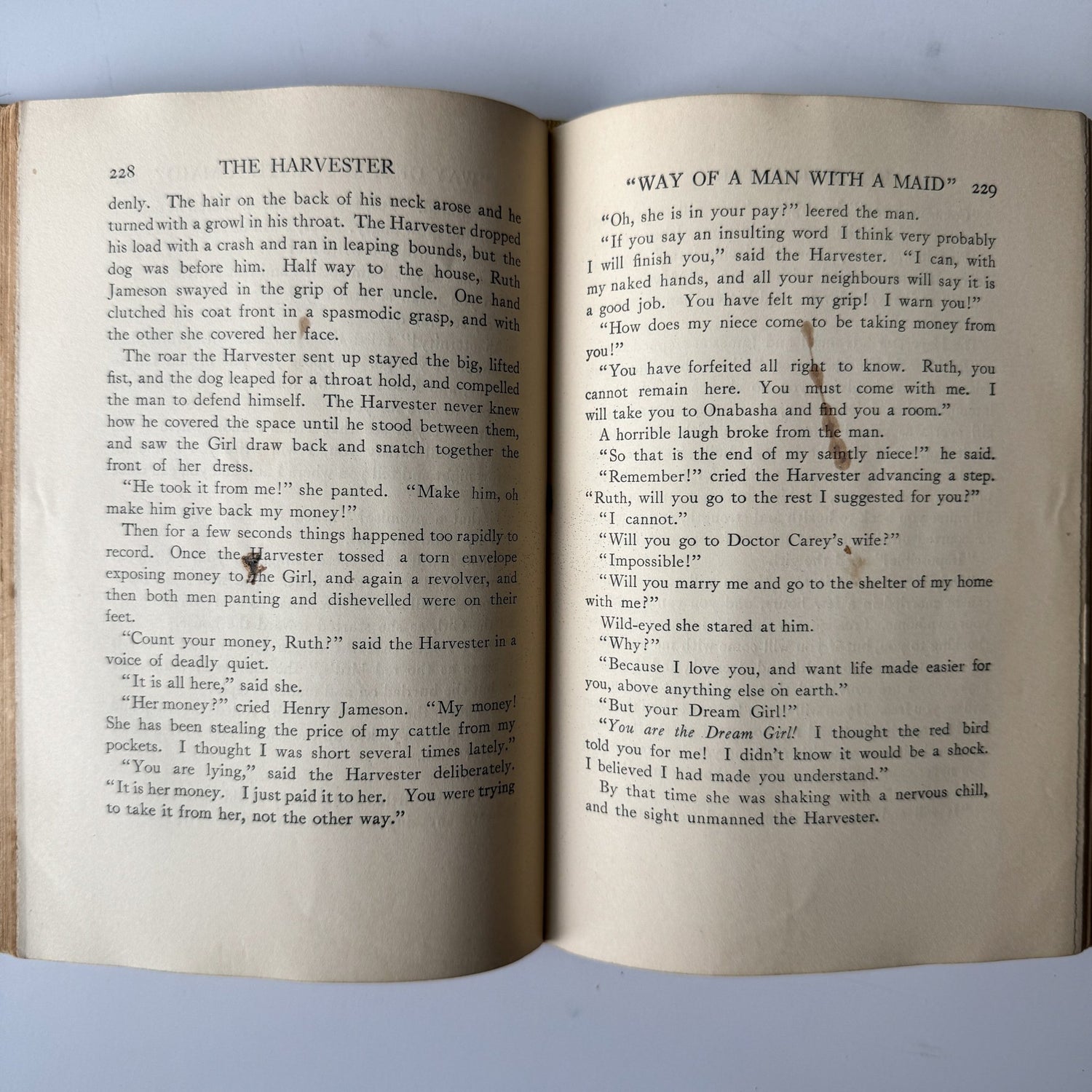 The Harvester by Gene Stratton - Porter, Illustrated, 1911 - Pretty Old Books