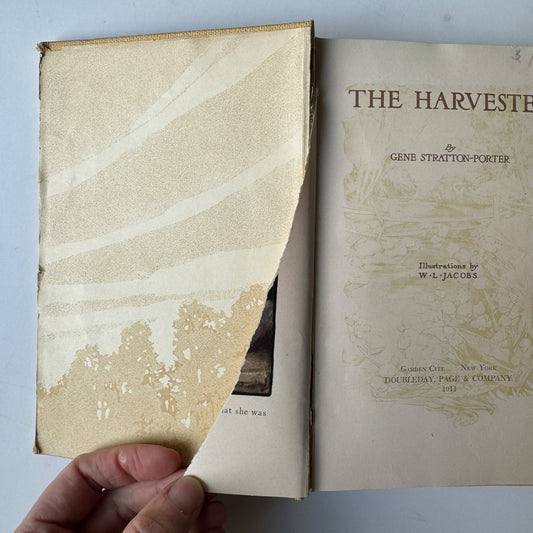 The Harvester by Gene Stratton - Porter, Illustrated, 1911 - Pretty Old Books
