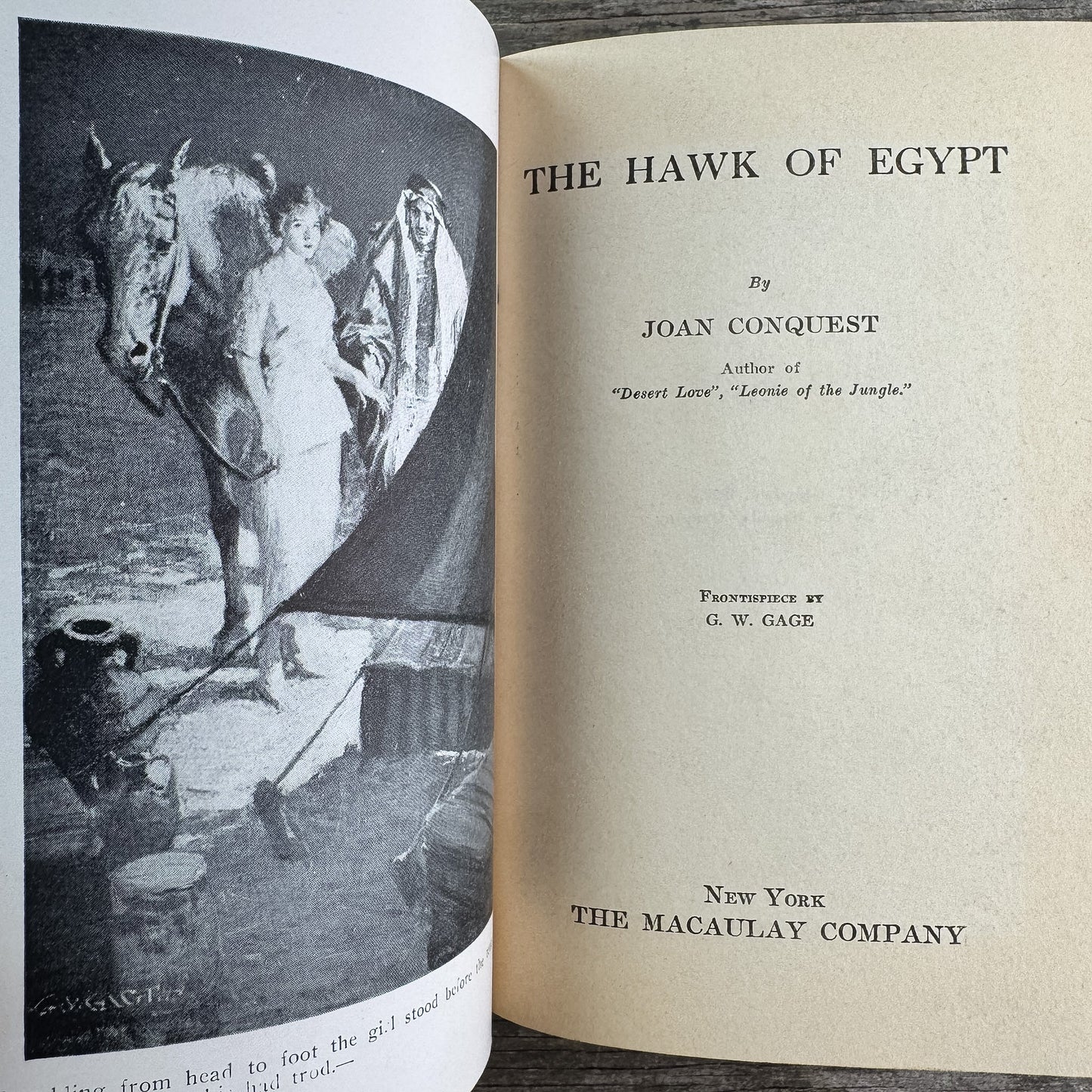 The Hawk of Egypt, Joan Conquest, 1922 Romance - Pretty Old Books