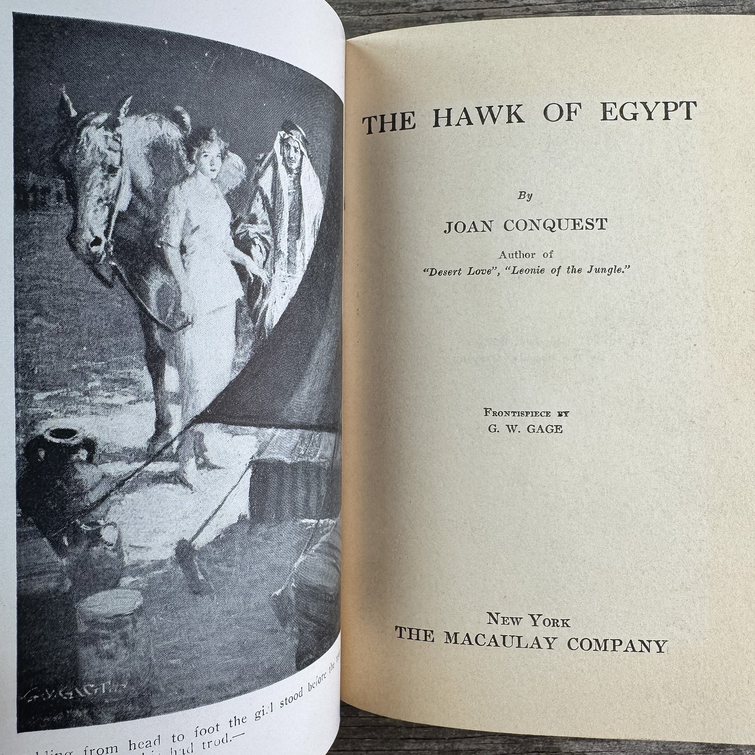 The Hawk of Egypt, Joan Conquest, 1922 Romance - Pretty Old Books