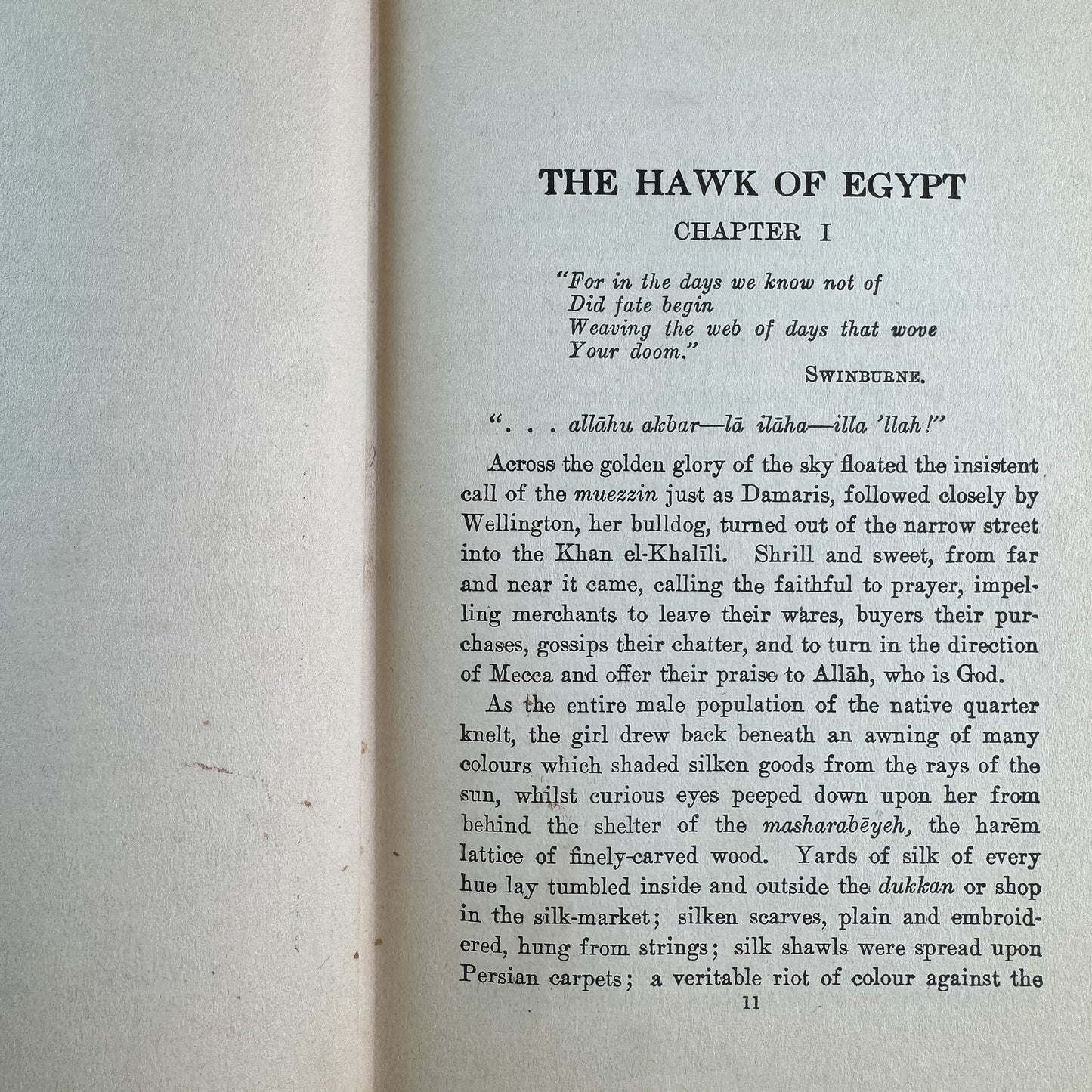 The Hawk of Egypt, Joan Conquest, 1922 Romance - Pretty Old Books