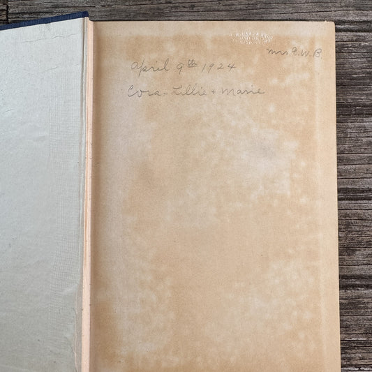 The Hawk of Egypt, Joan Conquest, 1922 Romance - Pretty Old Books