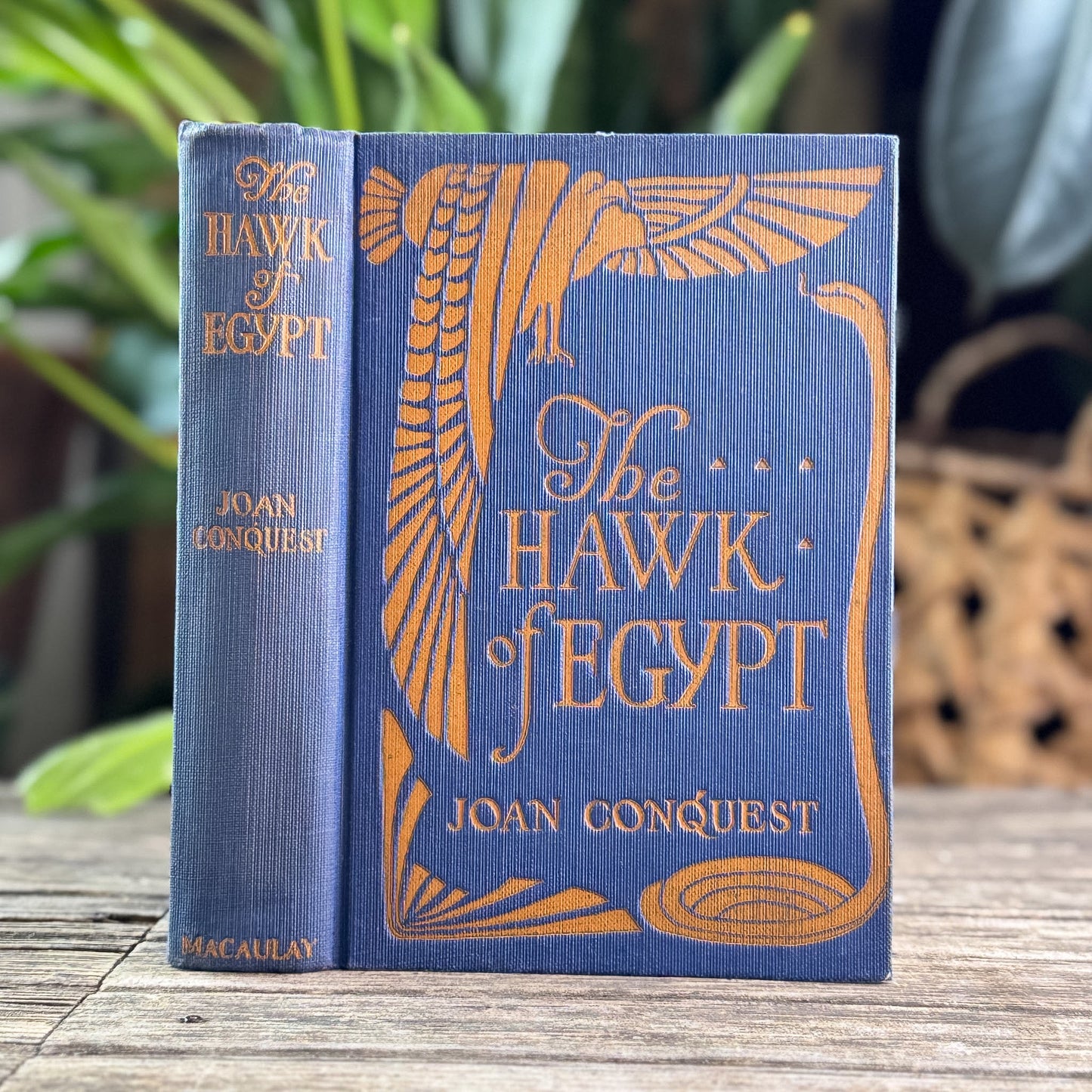 The Hawk of Egypt, Joan Conquest, 1922 Romance - Pretty Old Books