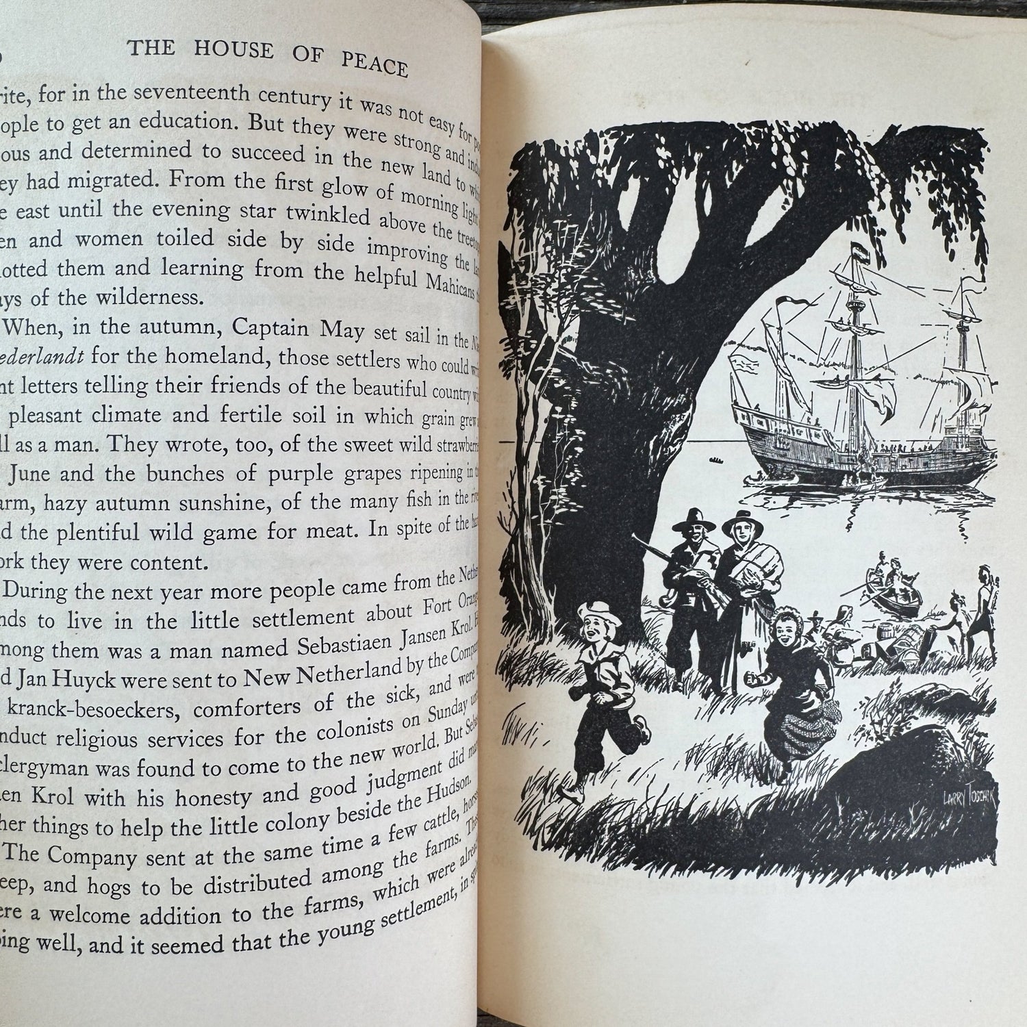The House of Peace, Louisa A. Dyer, 1956 - Pretty Old Books