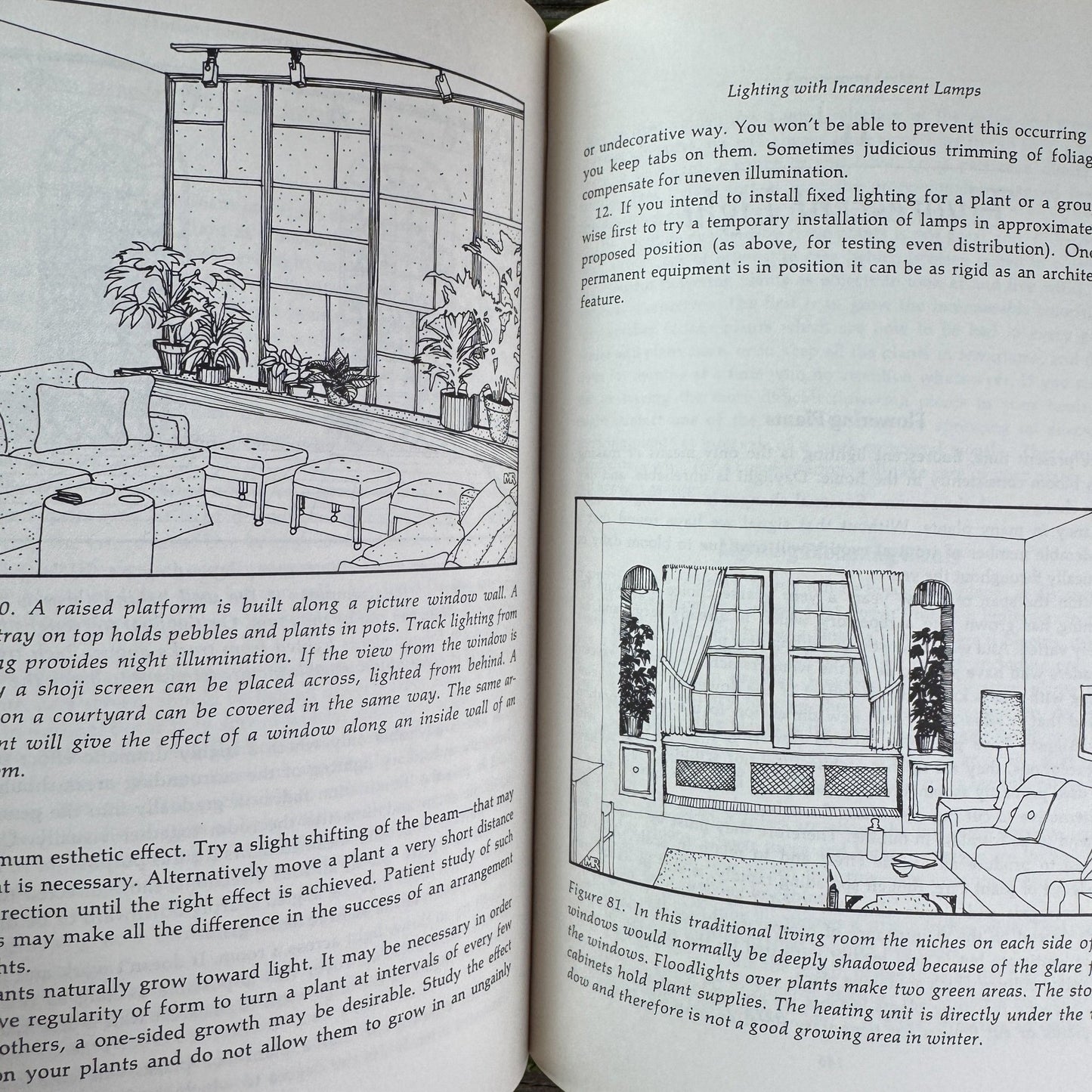 The House Plant Decorating Book, Virginie F. and George A. Elbert, 1977 - Pretty Old Books