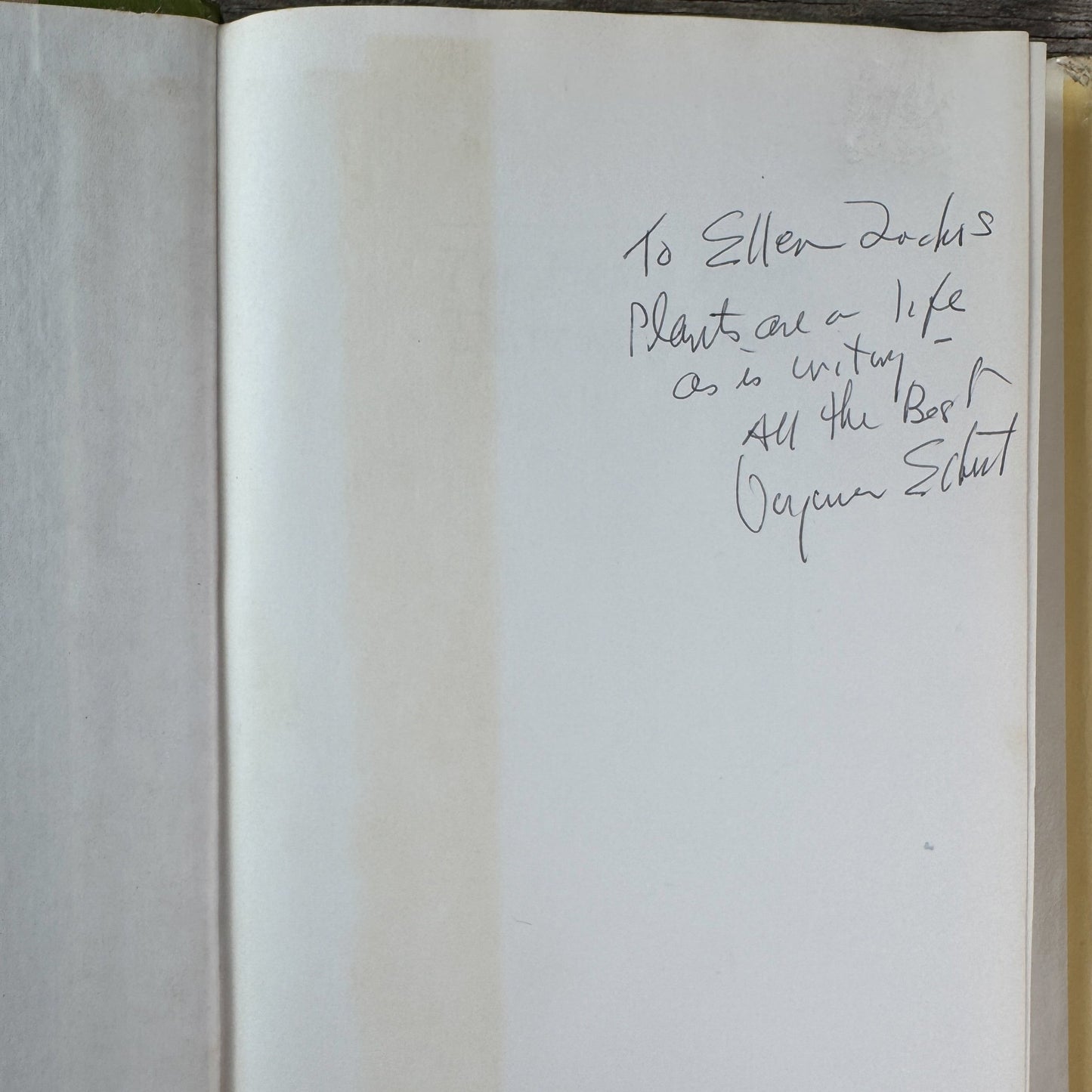 The House Plant Decorating Book, Virginie F. and George A. Elbert, 1977 - Pretty Old Books
