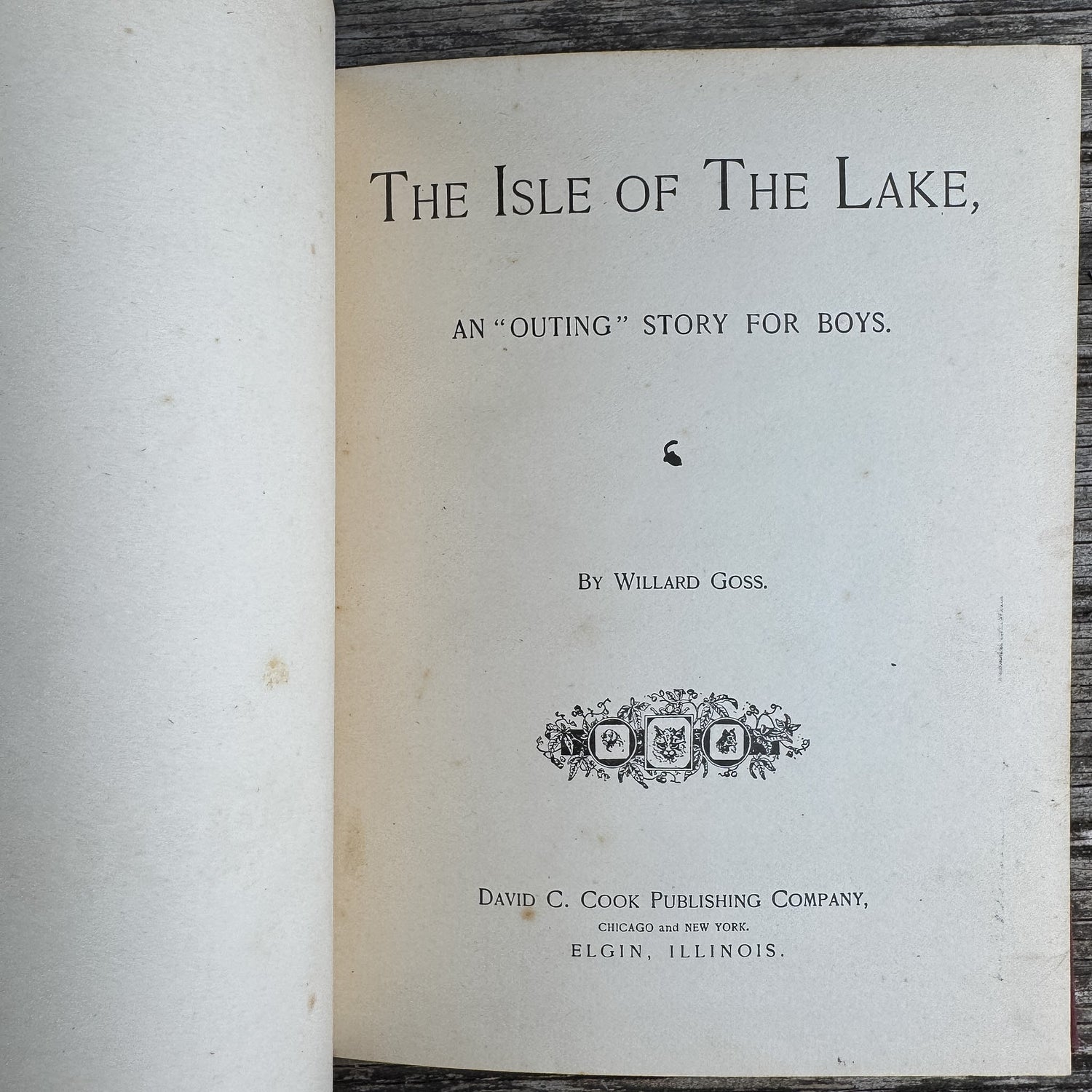The Isle of the Lake, Willard Goss, 1903 Boys' Adventure - Pretty Old Books