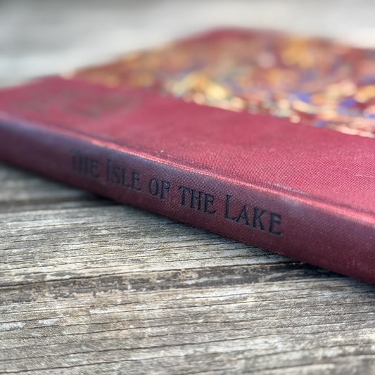 The Isle of the Lake, Willard Goss, 1903 Boys' Adventure - Pretty Old Books