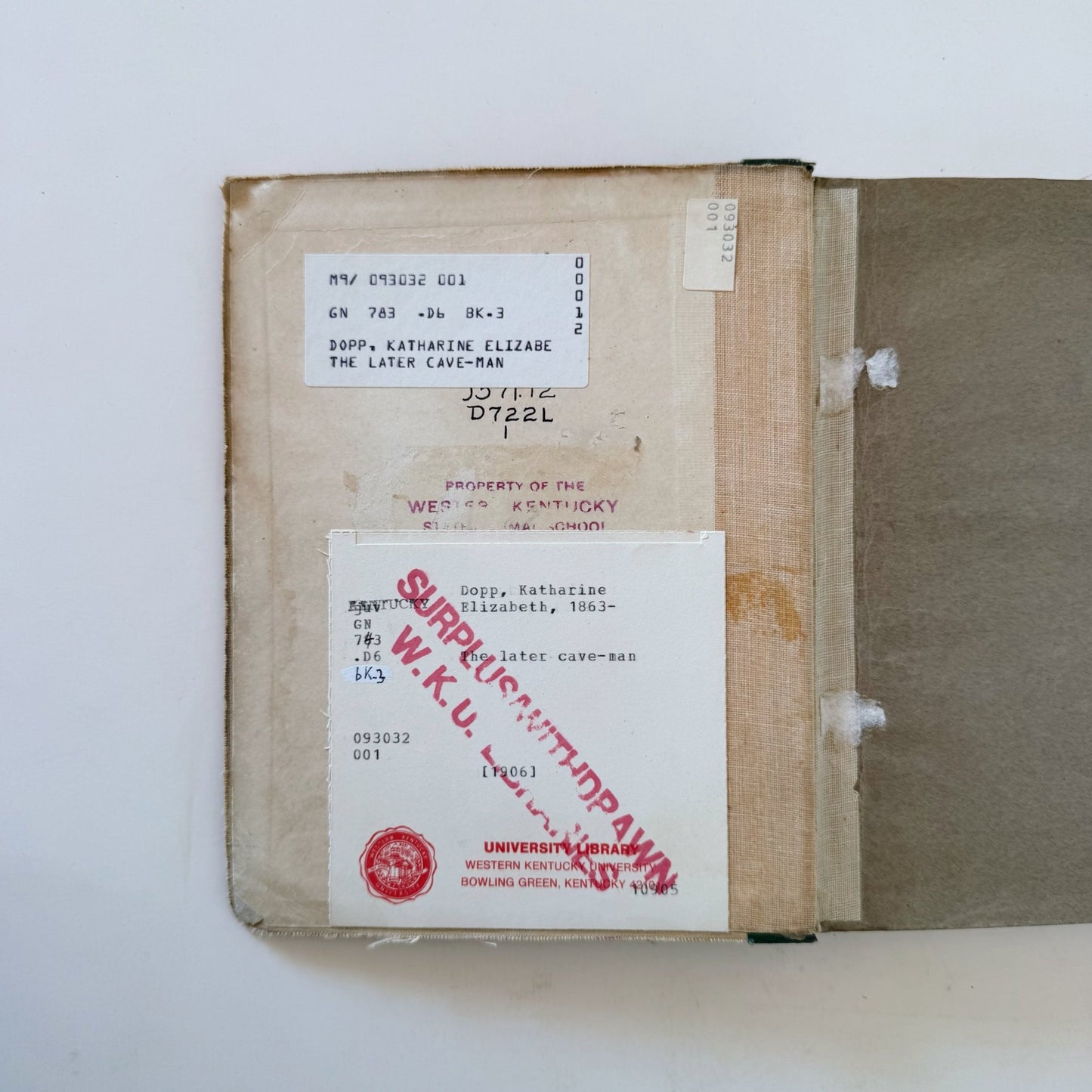 The Later Cave Man, Katherine Elizabeth Dopp, 1906 Elementary School Ancient History and Social Studies - Pretty Old Books