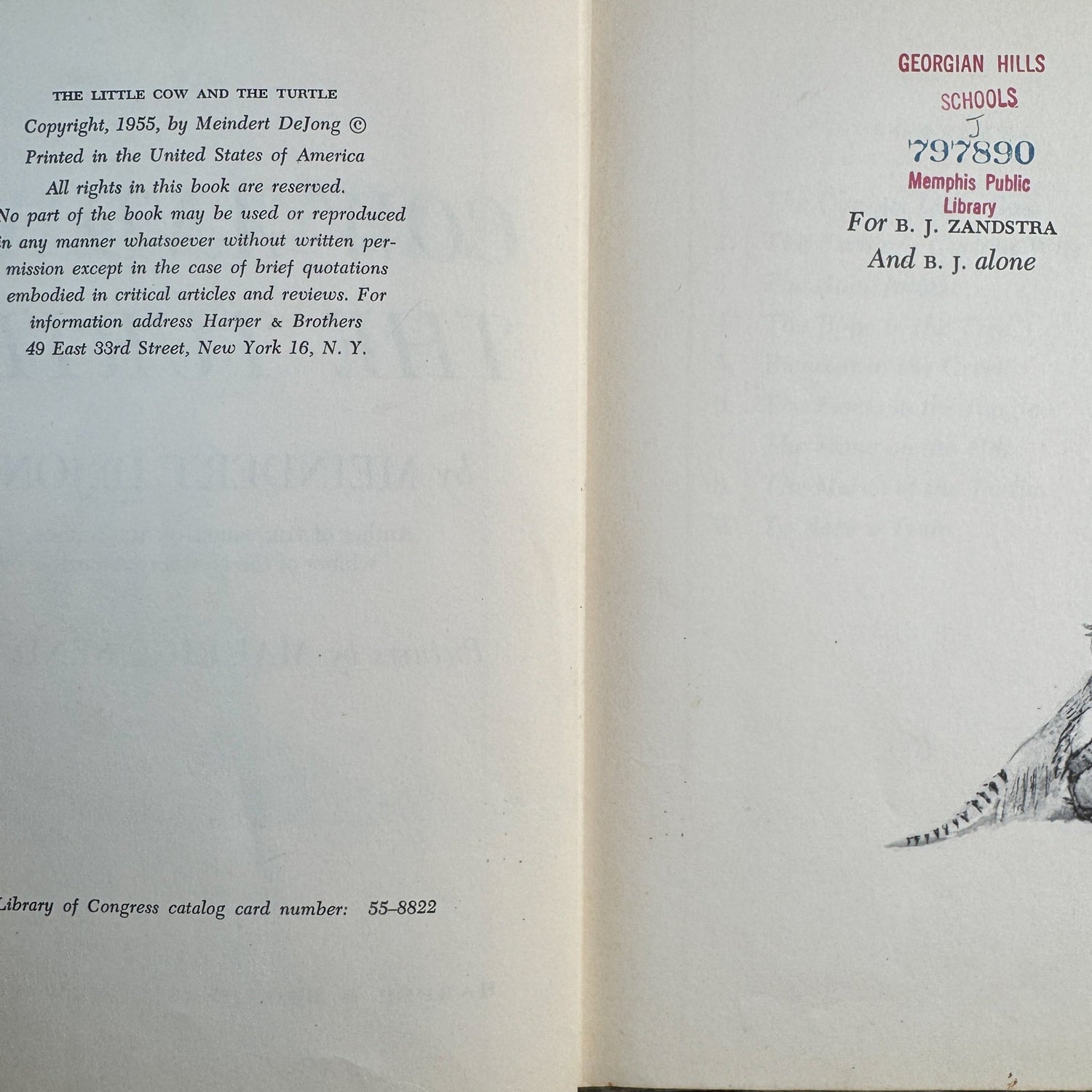 The Little Cow and the Turtle, Meindert DeJong, 1955 - Pretty Old Books