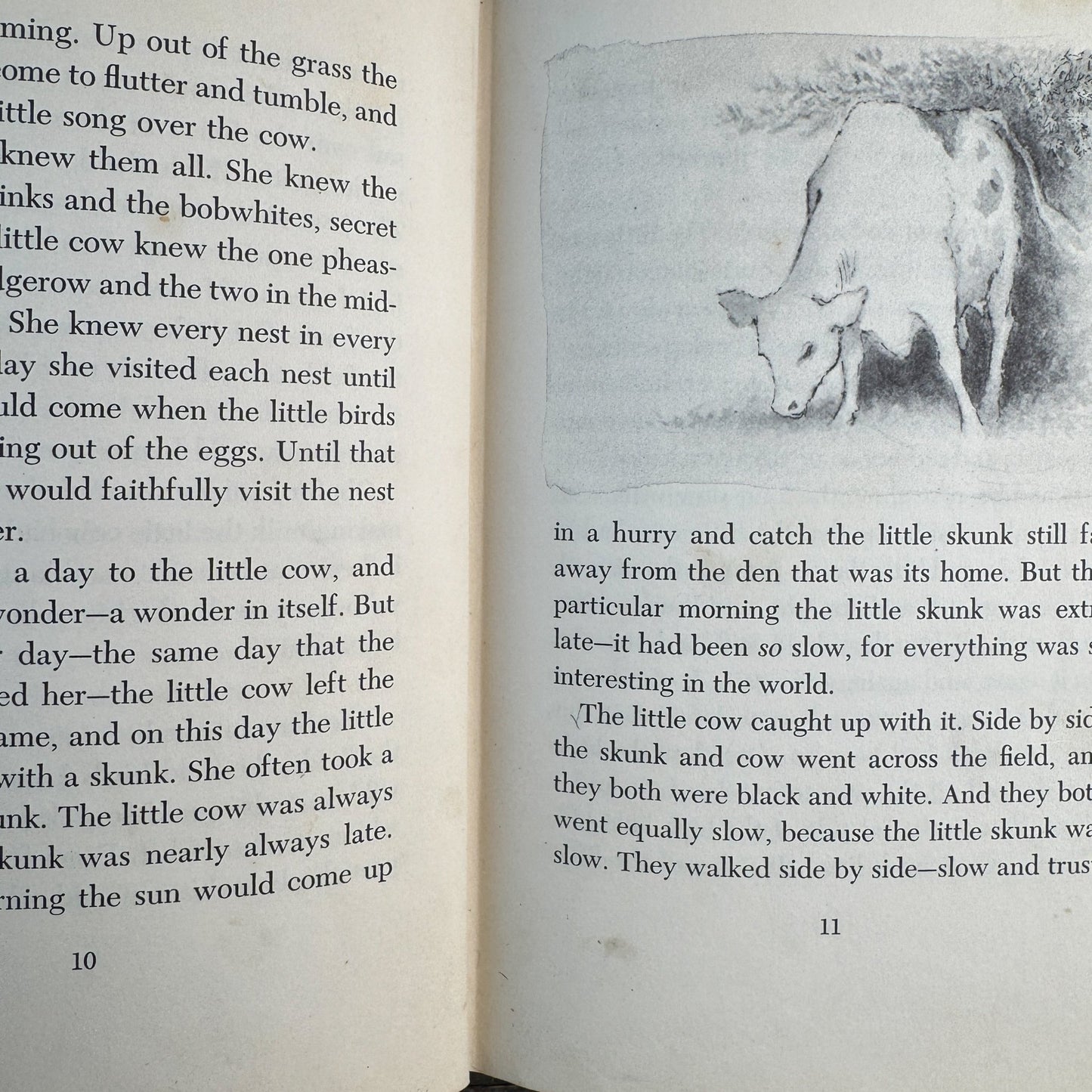 The Little Cow and the Turtle, Meindert DeJong, 1955 - Pretty Old Books