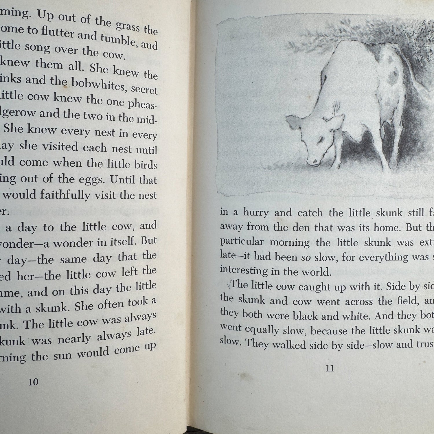 The Little Cow and the Turtle, Meindert DeJong, 1955 - Pretty Old Books