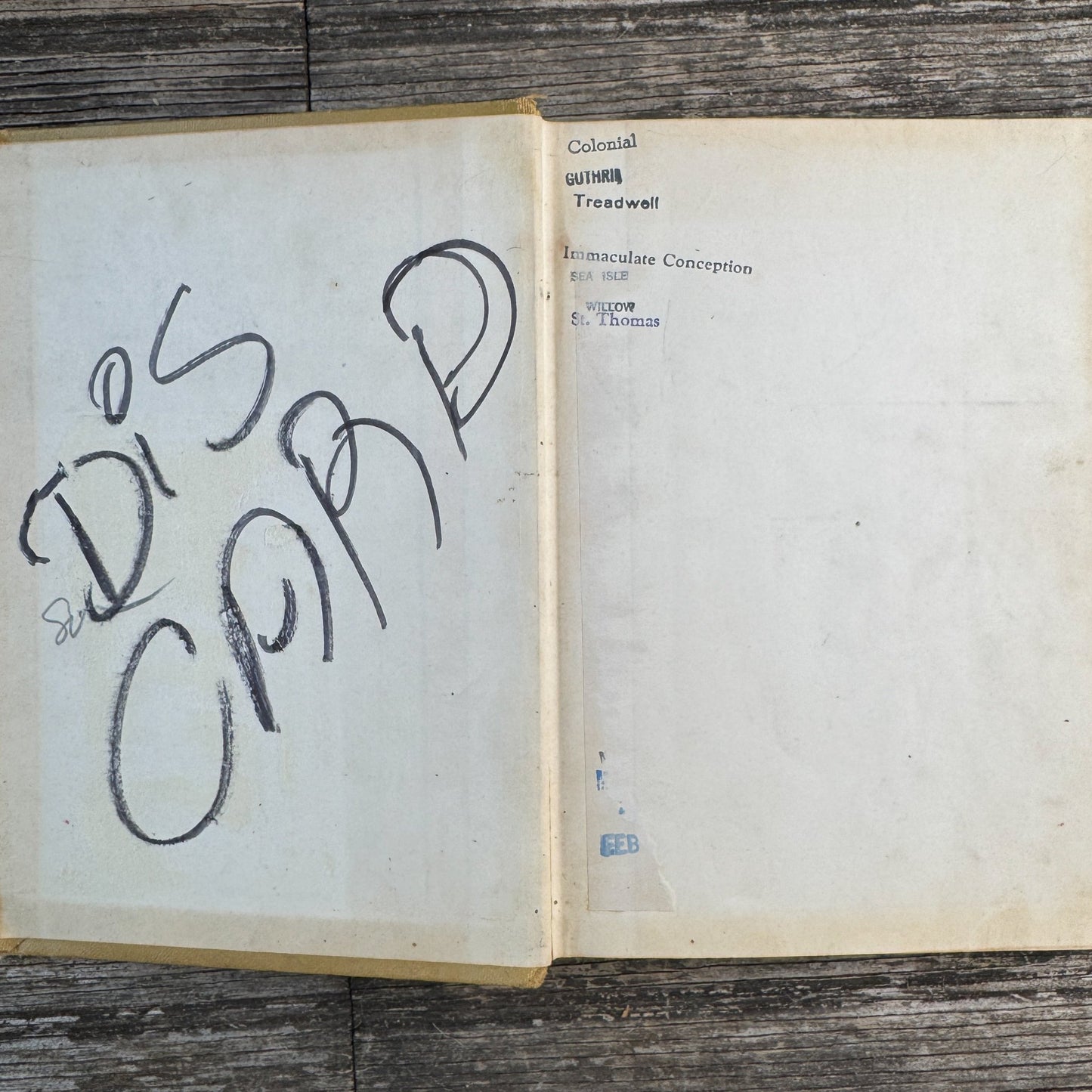 The Little Cow and the Turtle, Meindert DeJong, 1955 - Pretty Old Books