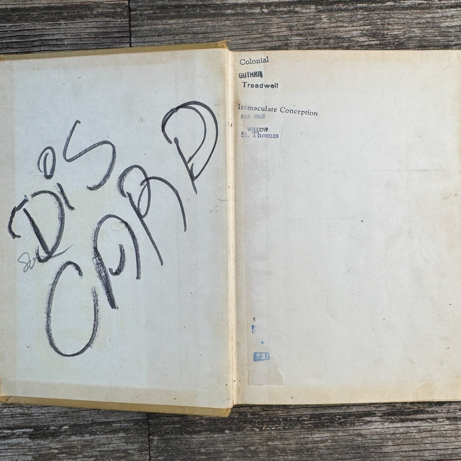 The Little Cow and the Turtle, Meindert DeJong, 1955 - Pretty Old Books