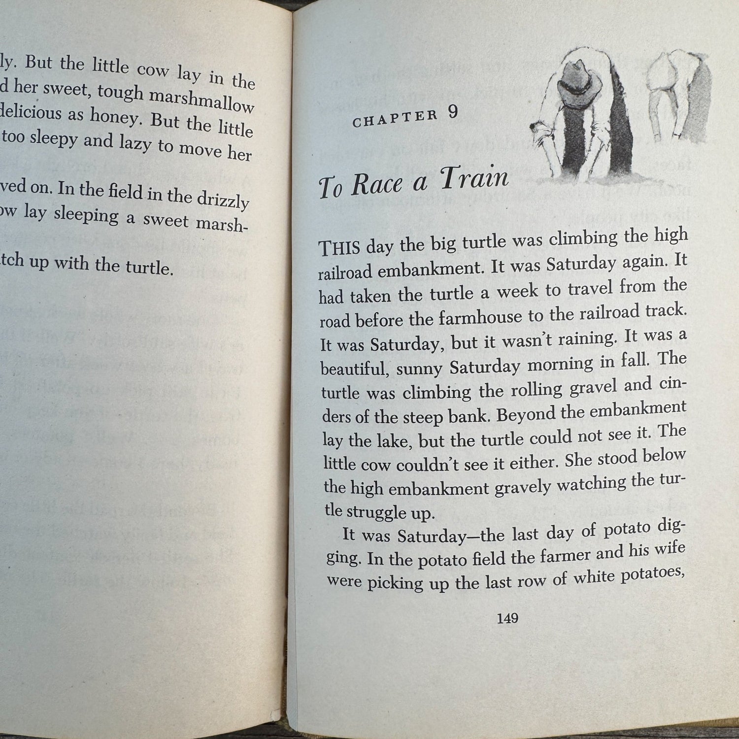 The Little Cow and the Turtle, Meindert DeJong, 1955 - Pretty Old Books