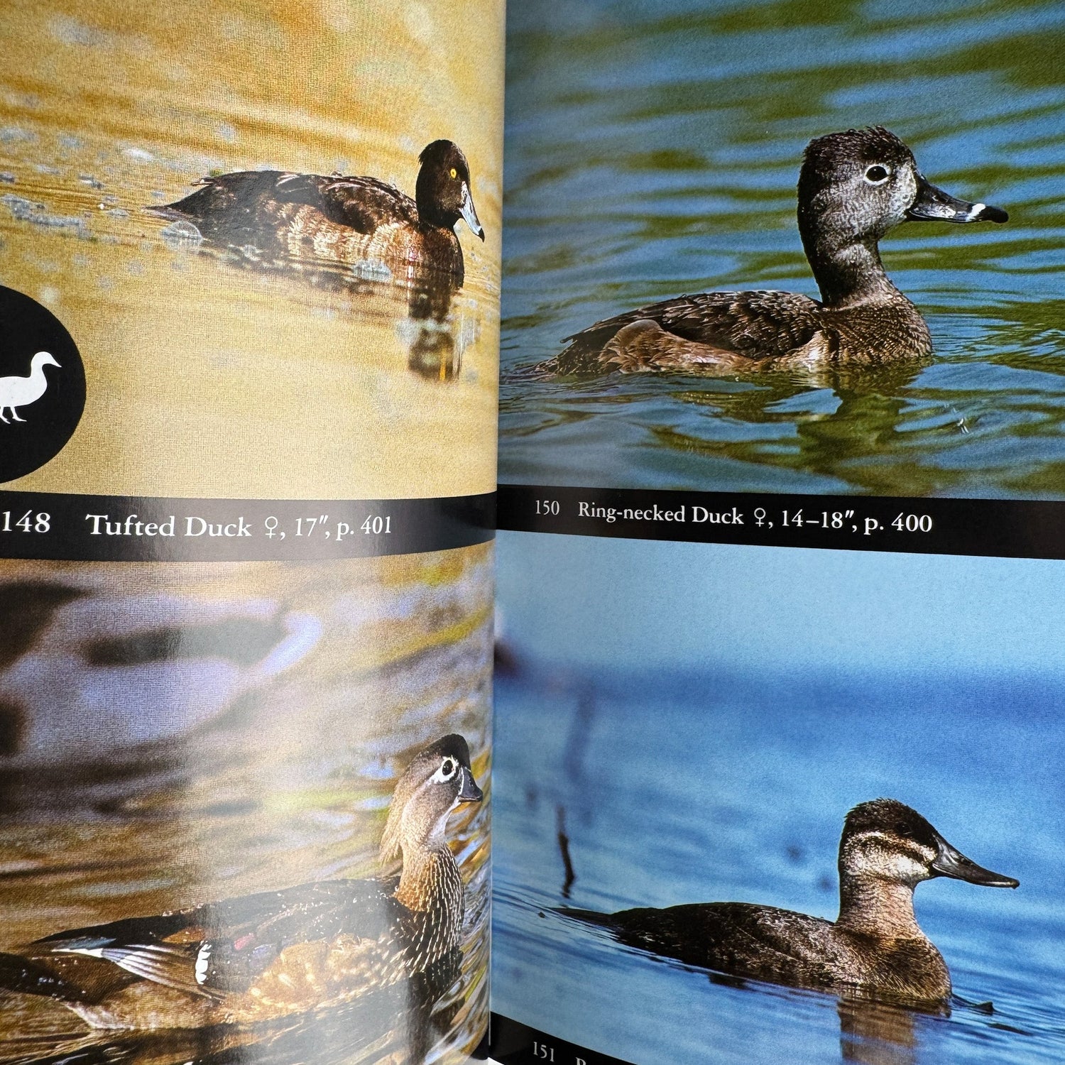 The National Audubon Society Field Guide to North American Birds, Eastern Region, 1994 - Pretty Old Books