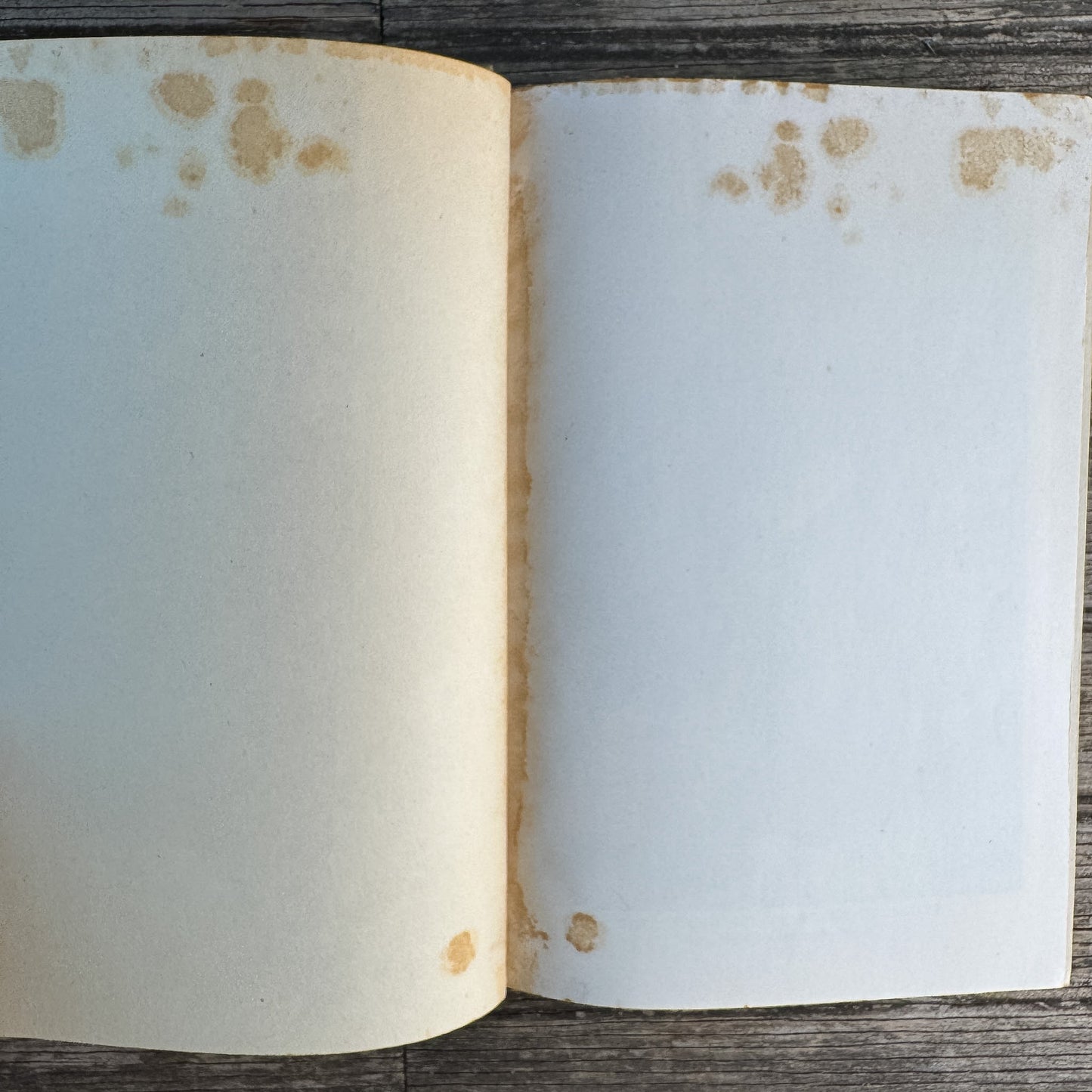 The Pilgrim's Progress, John Bunyan, 1933 Illustrated Edition - Pretty Old Books