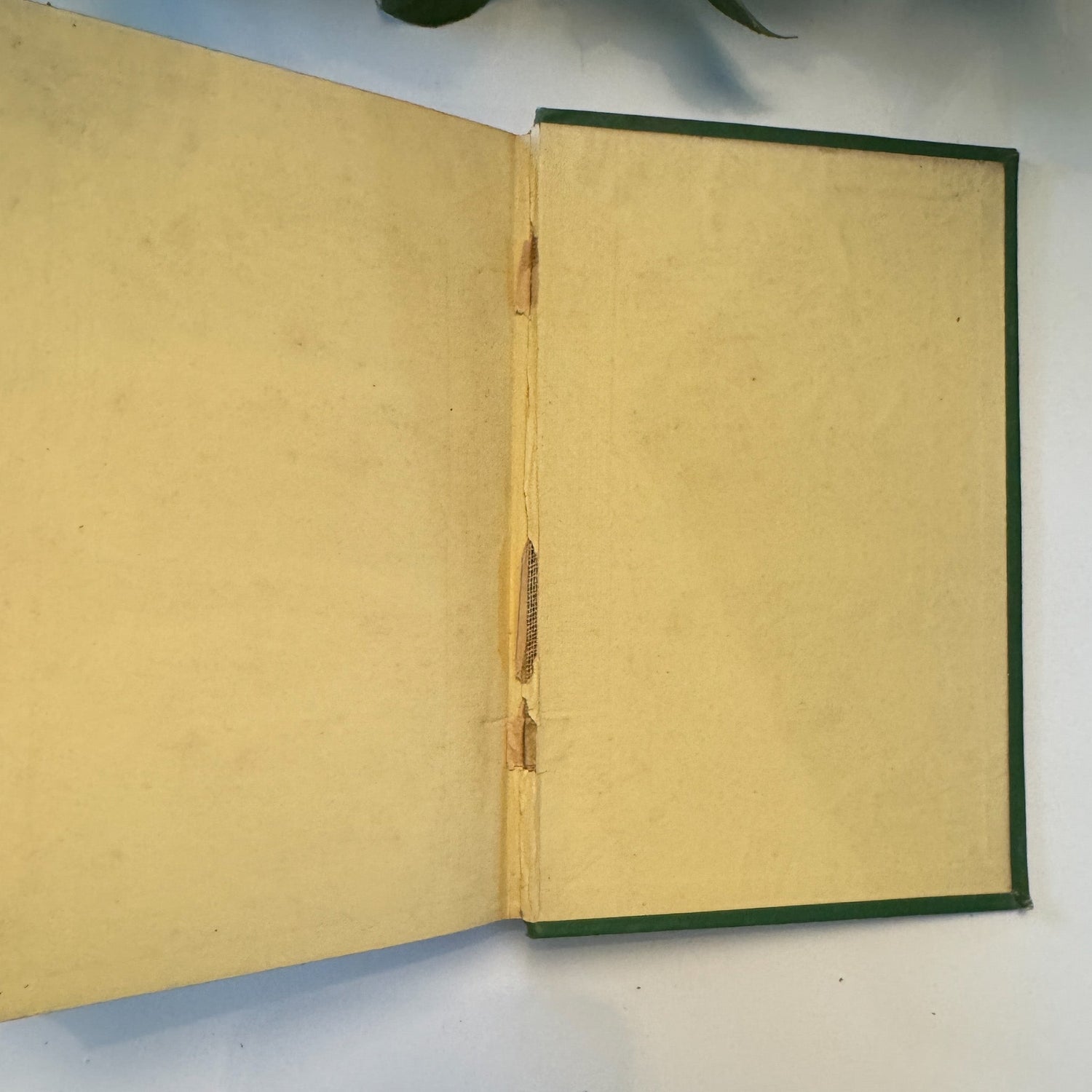 The Poetical Works of Sir Walter Scott, Antique Ornate Green Hardcover - Pretty Old Books