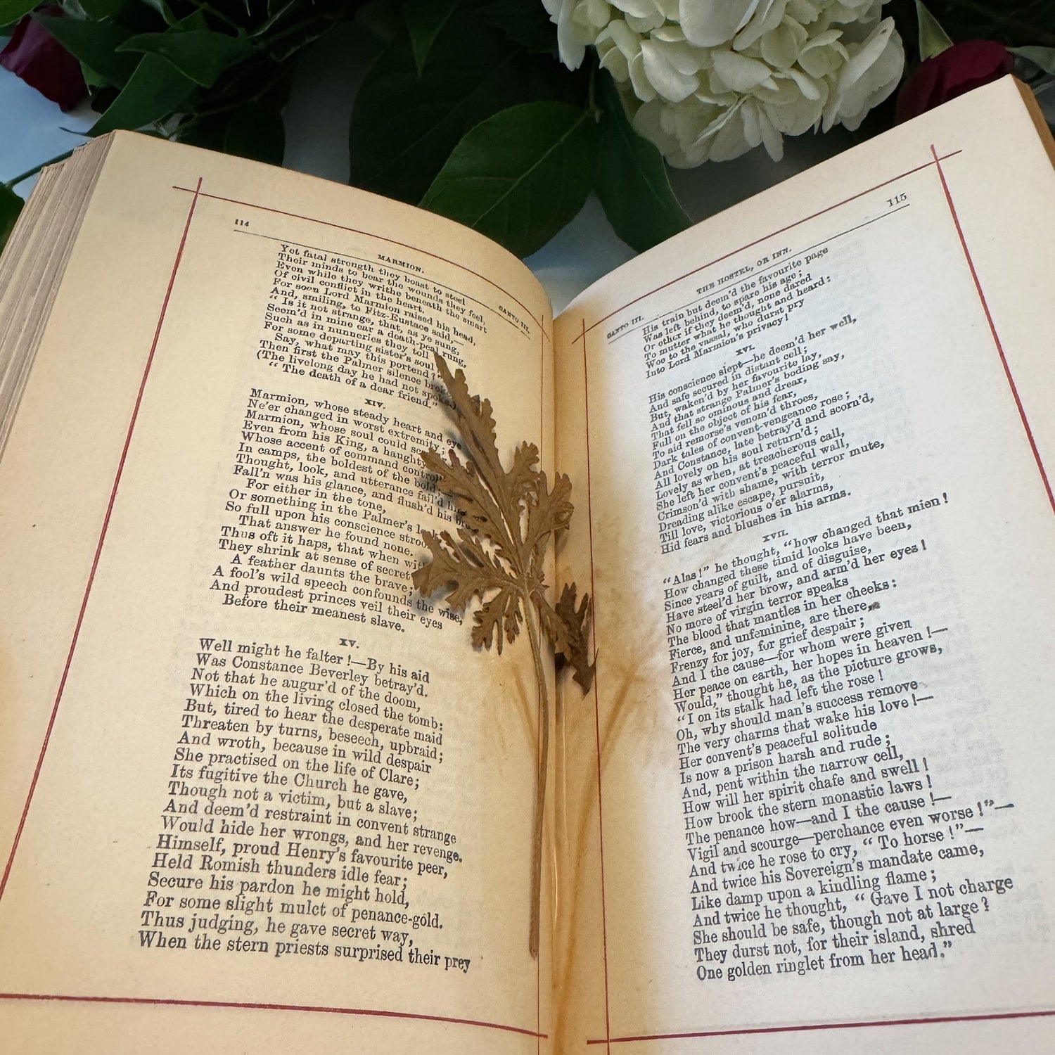 The Poetical Works of Sir Walter Scott, Antique Ornate Green Hardcover - Pretty Old Books