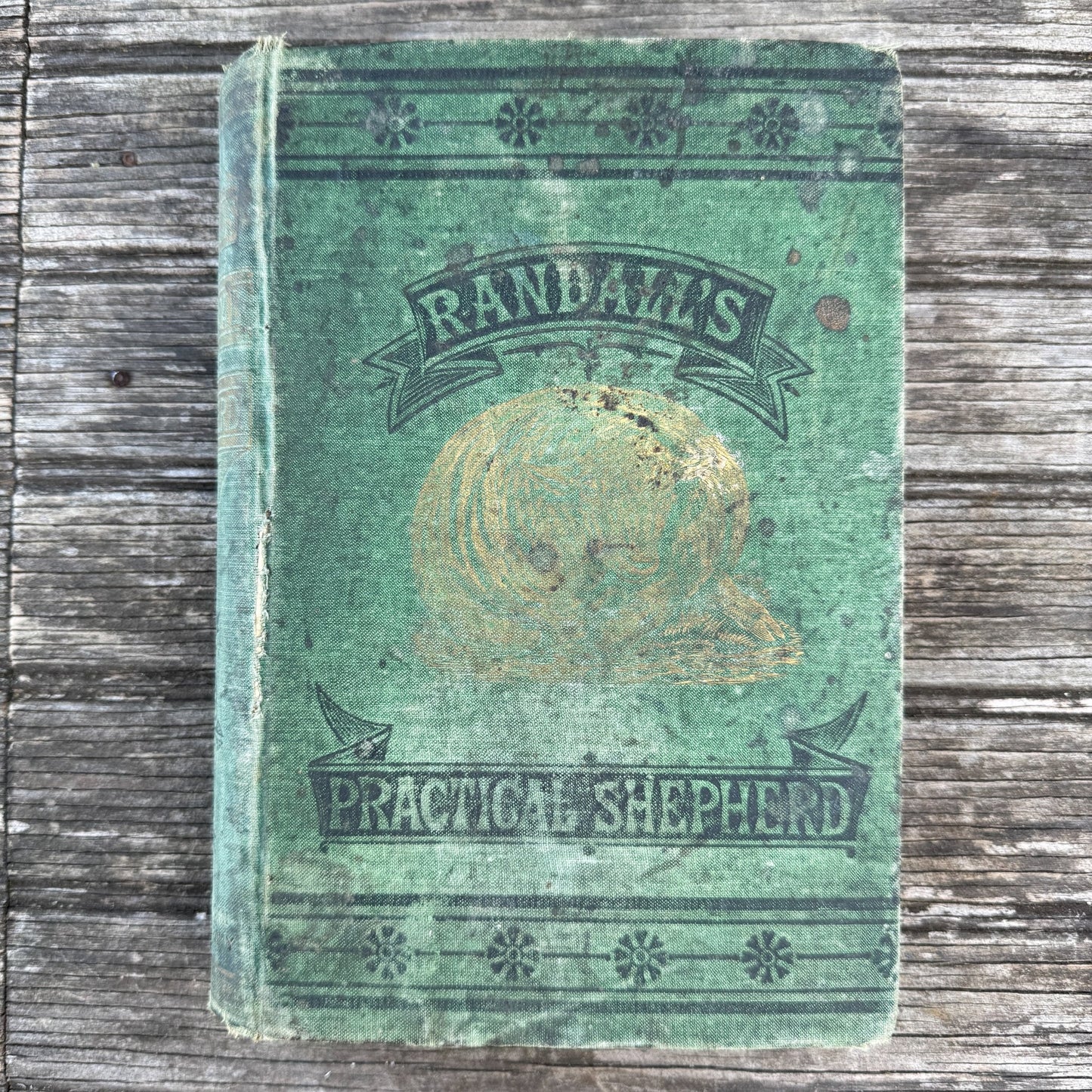 The Practical Shepherd, 1863 Sheep Manual - Pretty Old Books