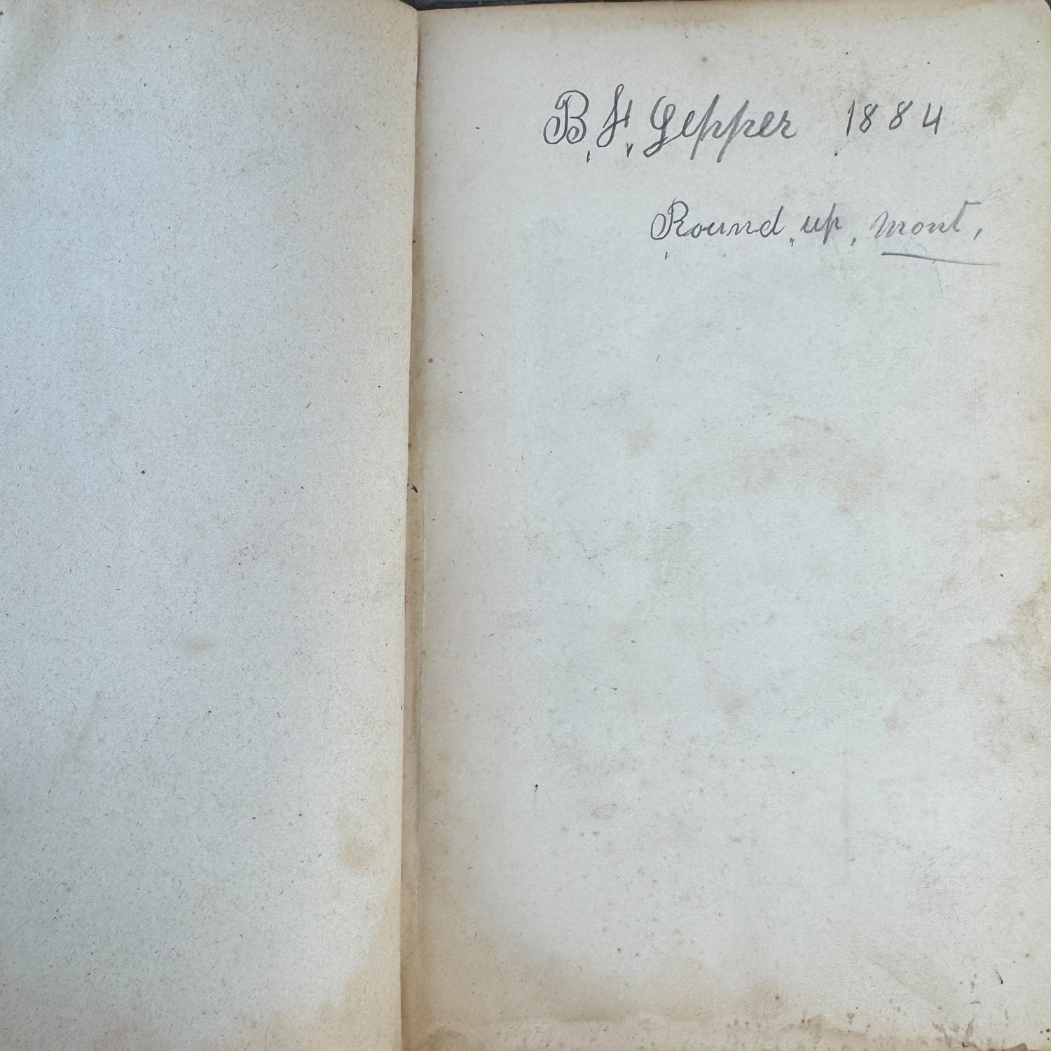 The Practical Shepherd, 1863 Sheep Manual - Pretty Old Books