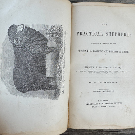 The Practical Shepherd, 1863 Sheep Manual - Pretty Old Books