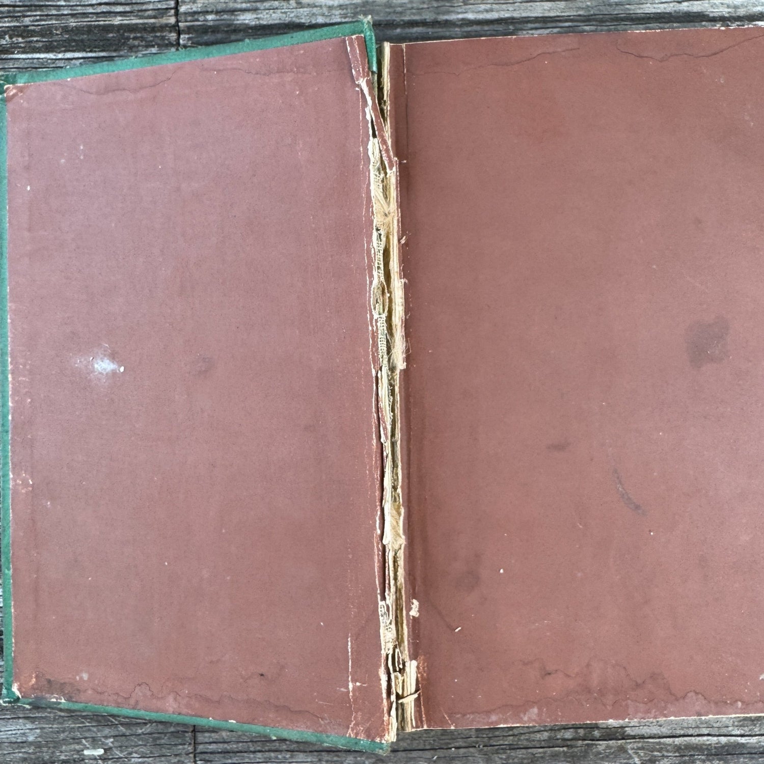 The Practical Shepherd, 1863 Sheep Manual - Pretty Old Books