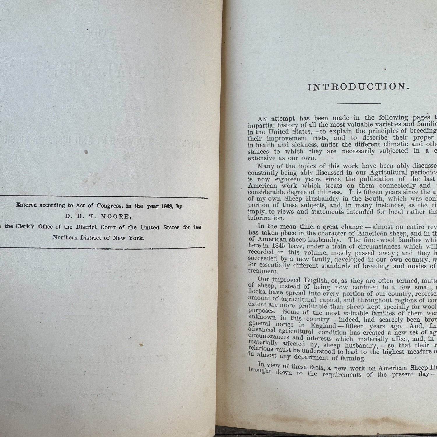 The Practical Shepherd, 1863 Sheep Manual - Pretty Old Books