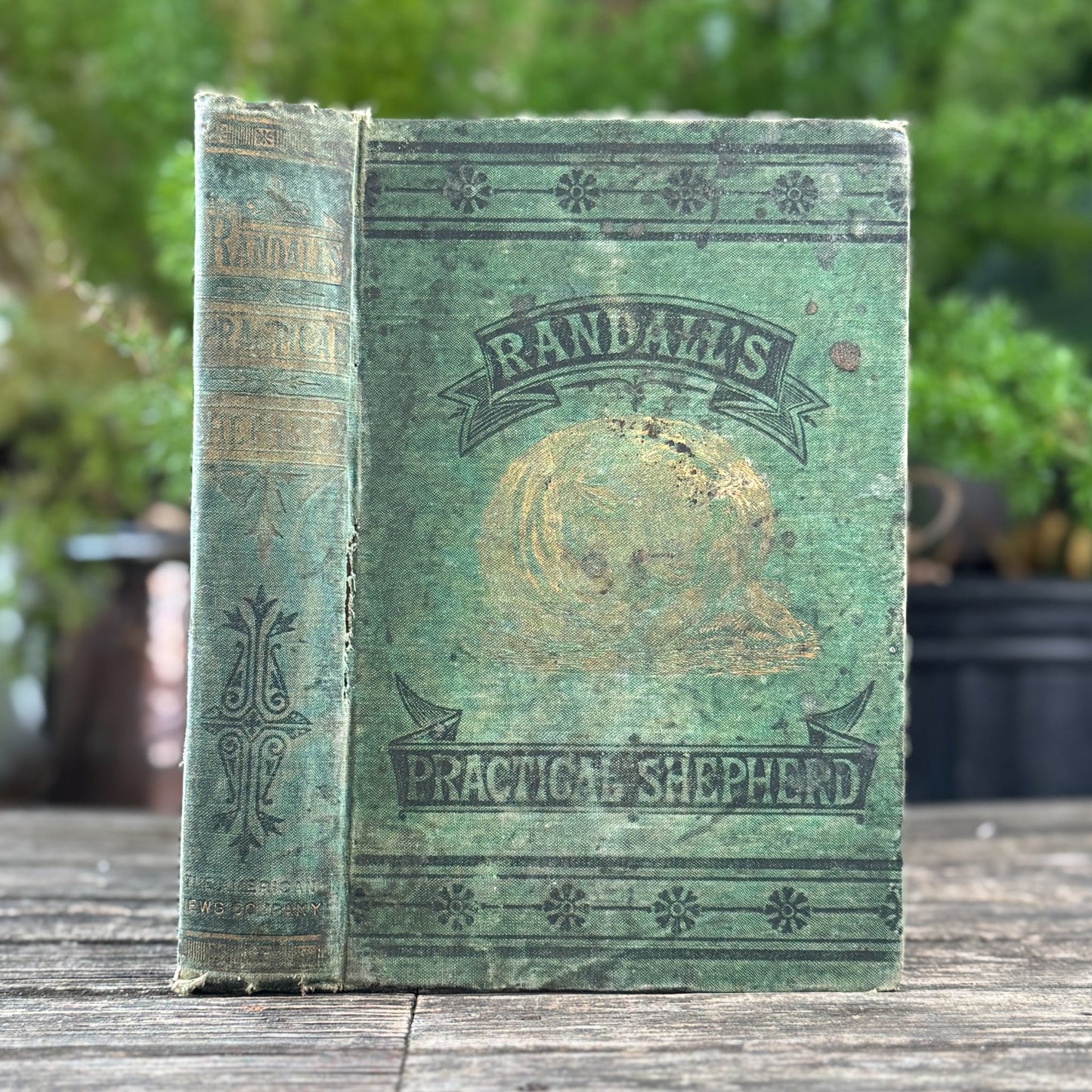 The Practical Shepherd, 1863 Sheep Manual - Pretty Old Books