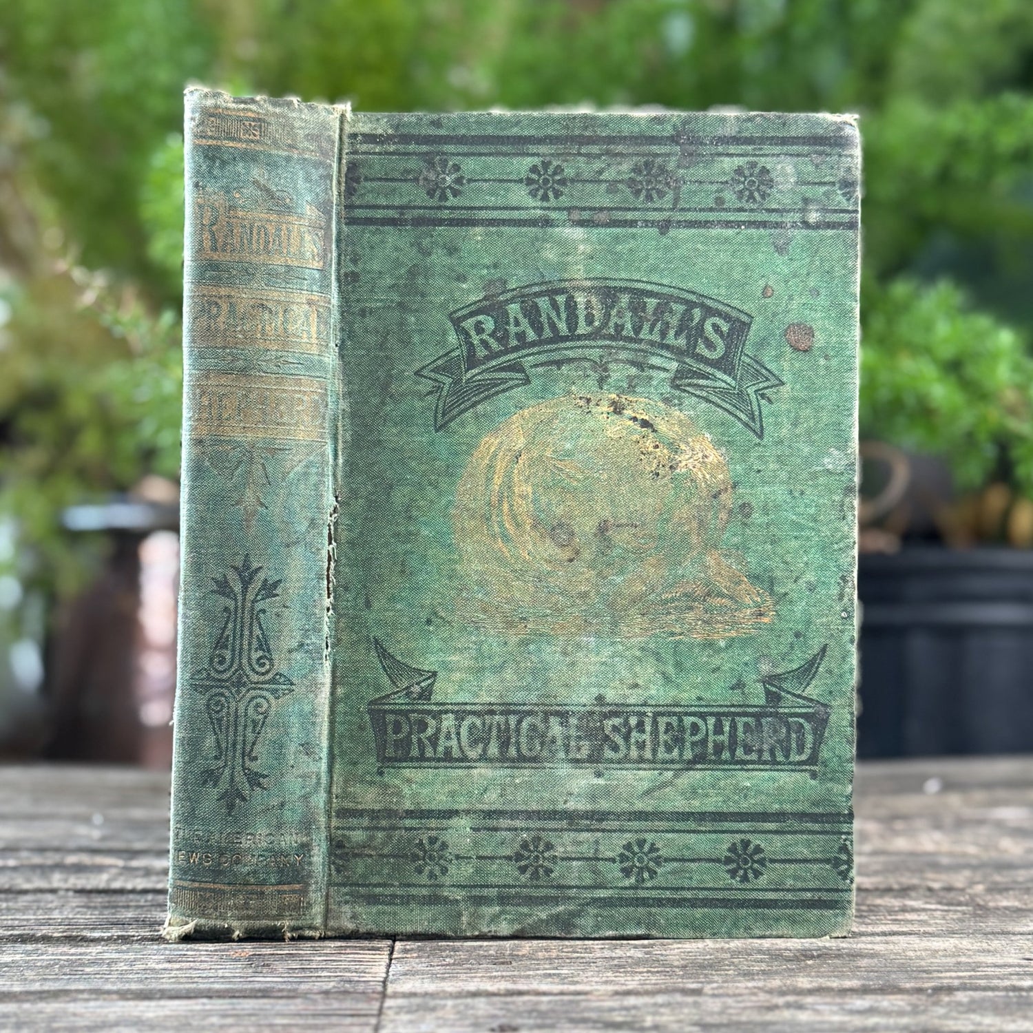 The Practical Shepherd, 1863 Sheep Manual - Pretty Old Books