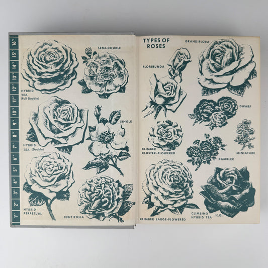The Rockwells' Complete Book of Roses, 1966 - Pretty Old Books