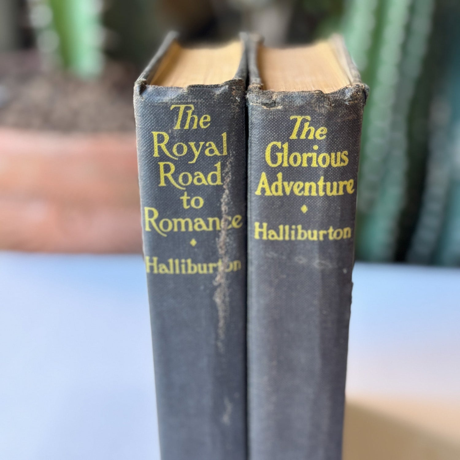 The Royal Road to Romance & The Glorious Adventure, Richard Halliburton, Star Books Editions - Pretty Old Books