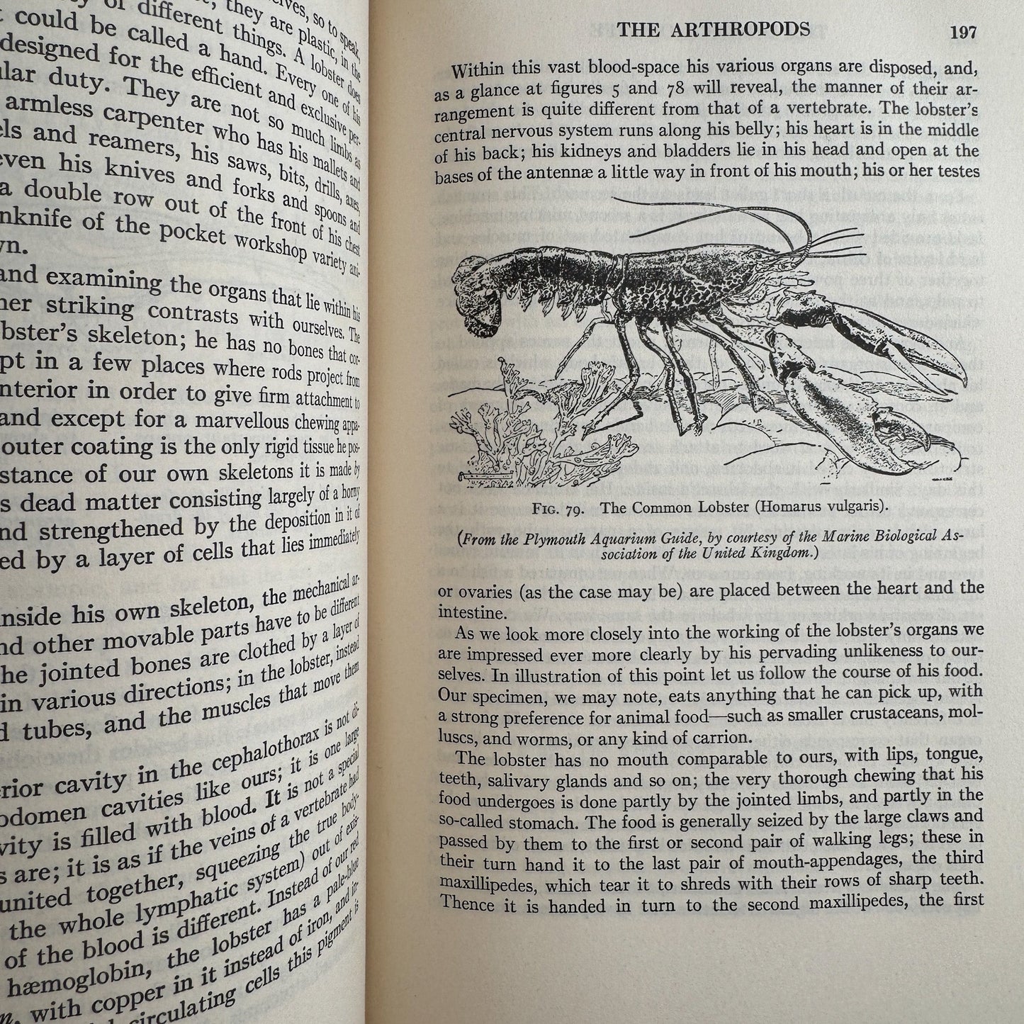 The Science of Life, Volume One, First Edition with Dust Jacket, 1931 - Pretty Old Books
