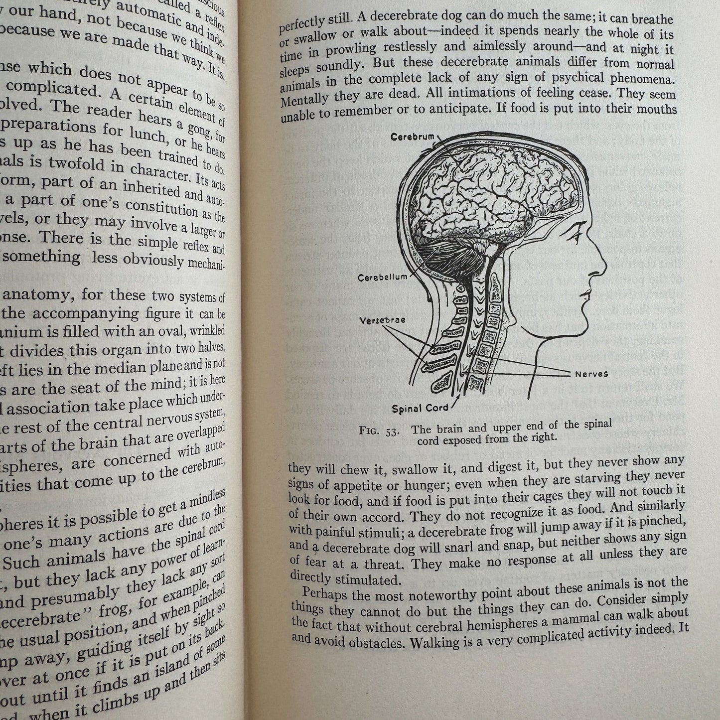 The Science of Life, Volume One, First Edition with Dust Jacket, 1931 - Pretty Old Books