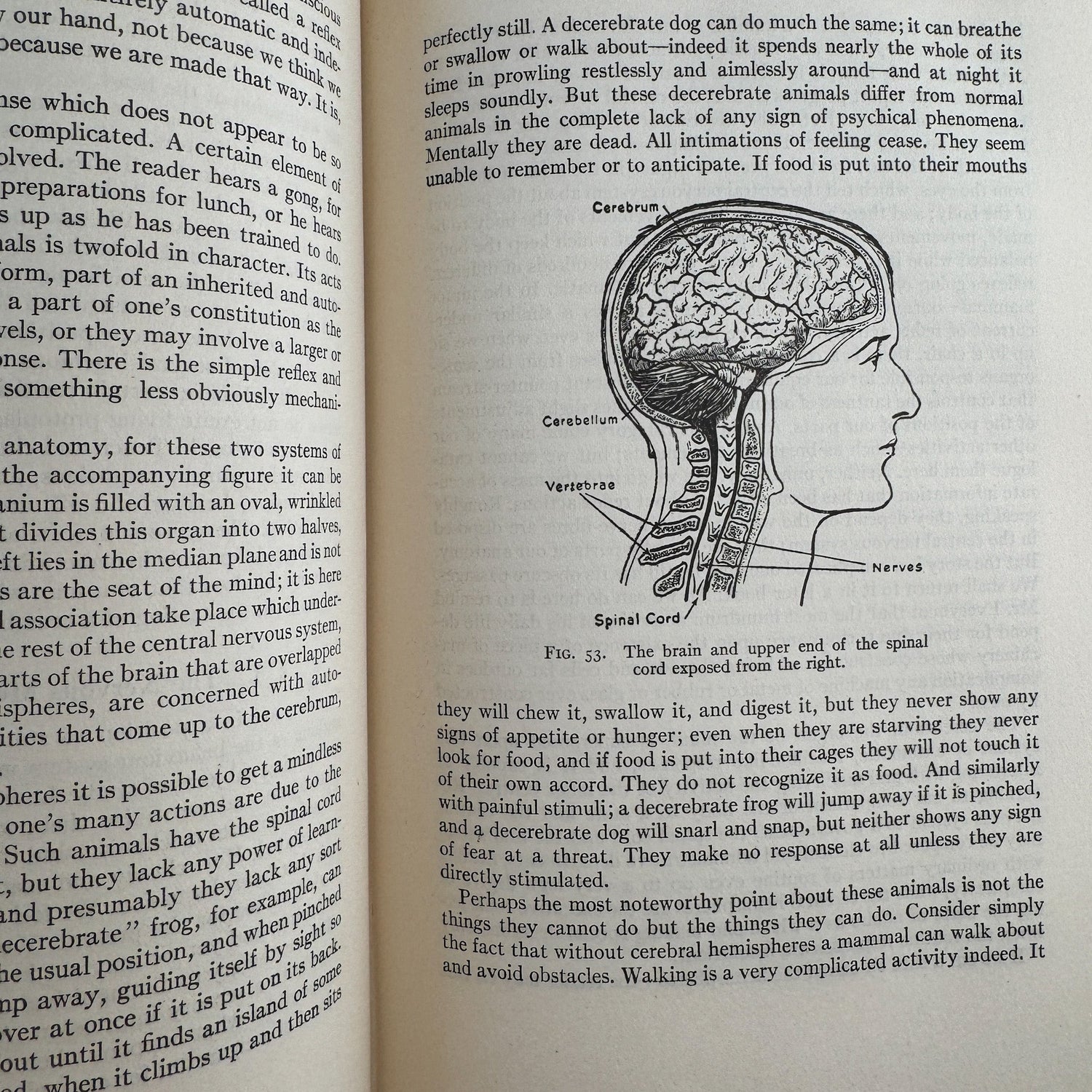 The Science of Life, Volume One, First Edition with Dust Jacket, 1931 - Pretty Old Books