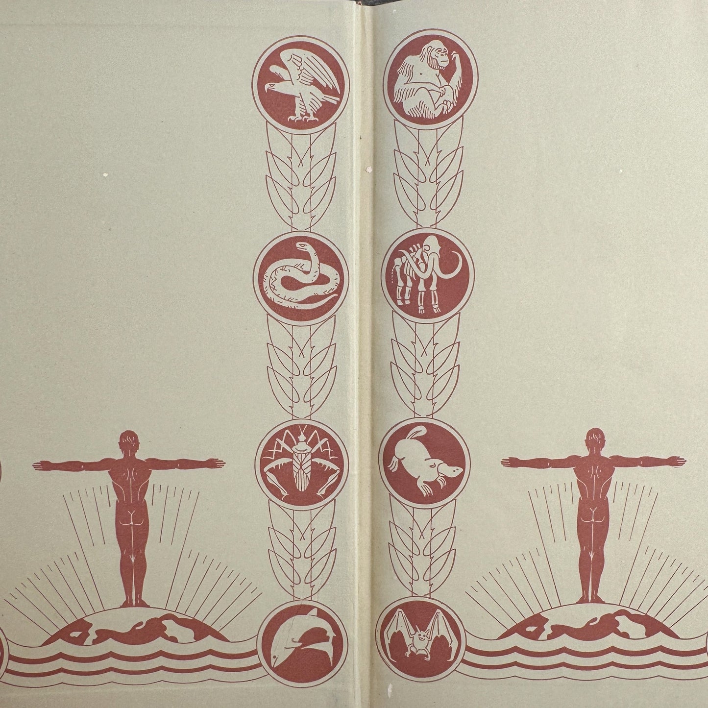 The Science of Life, Volume One, First Edition with Dust Jacket, 1931 - Pretty Old Books